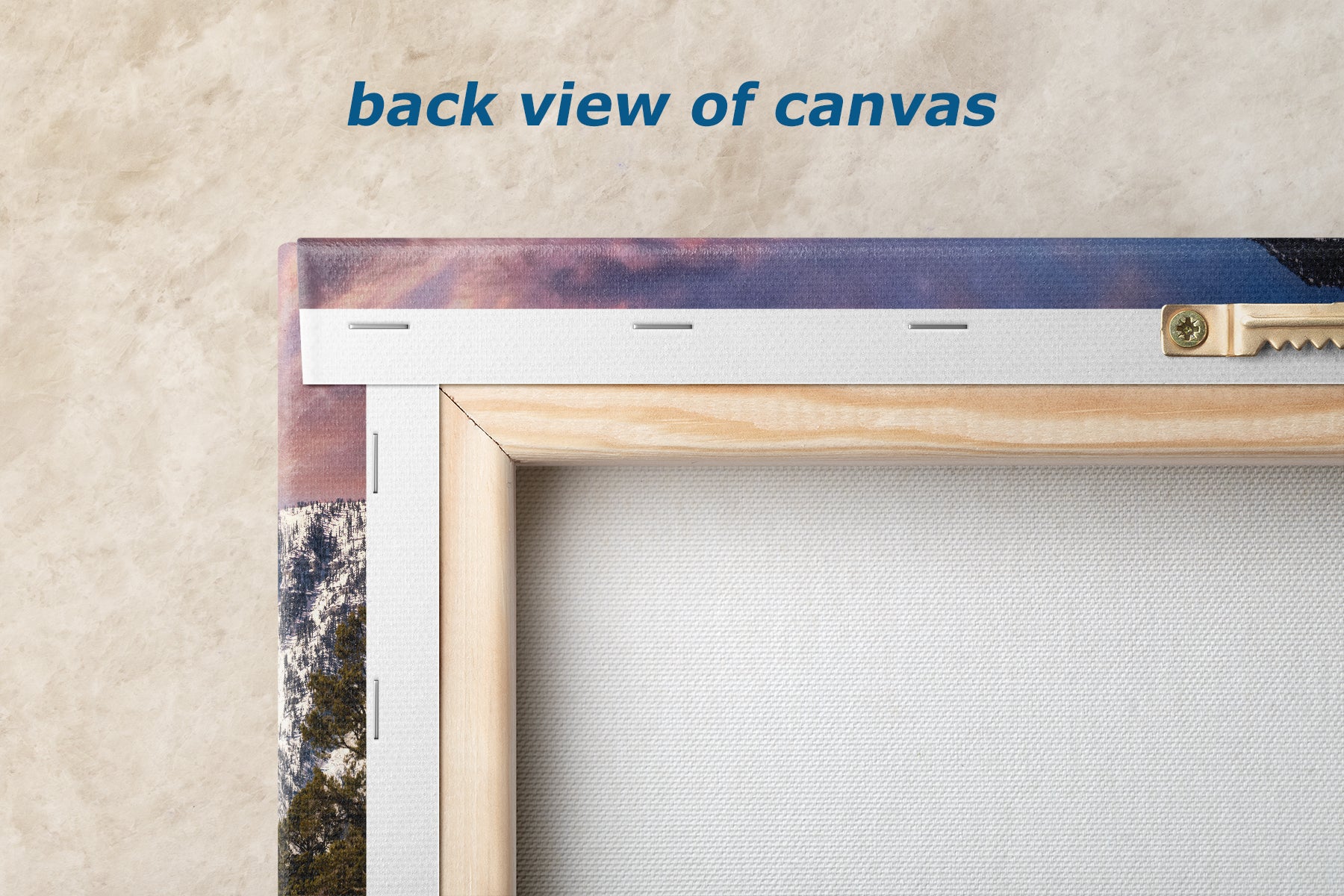 Mt Charleston Nevada Mountain Picture, Snowy Scenery Nature Photo Relaxation Artwork, Winter Landscape for Office, Dorm, Bohemian Decor