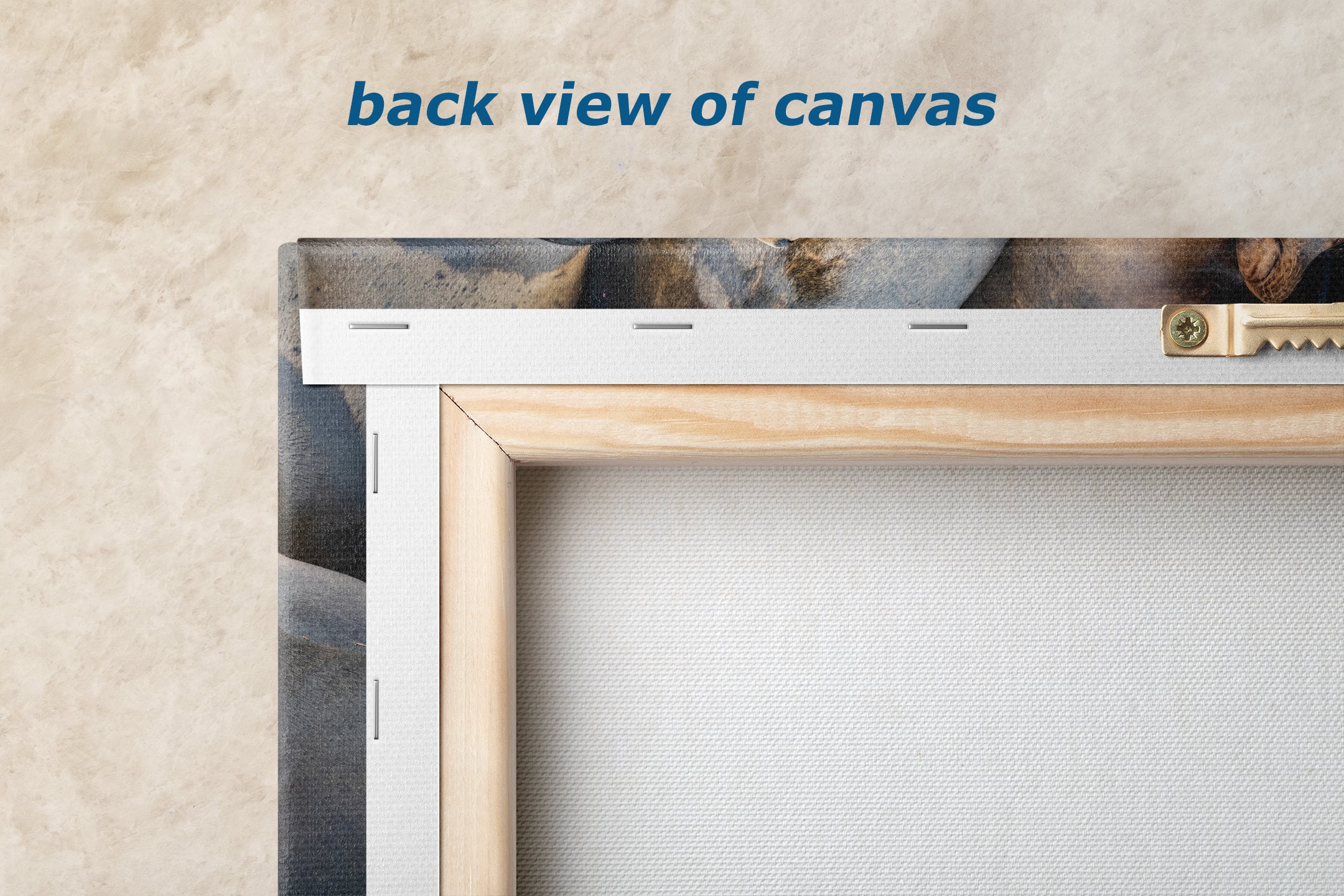 California Sea Lion Marine Mammal Wildlife Photography, Ocean Animals Nursery Decor, Relaxation Artwork for Beach-Themed Rooms