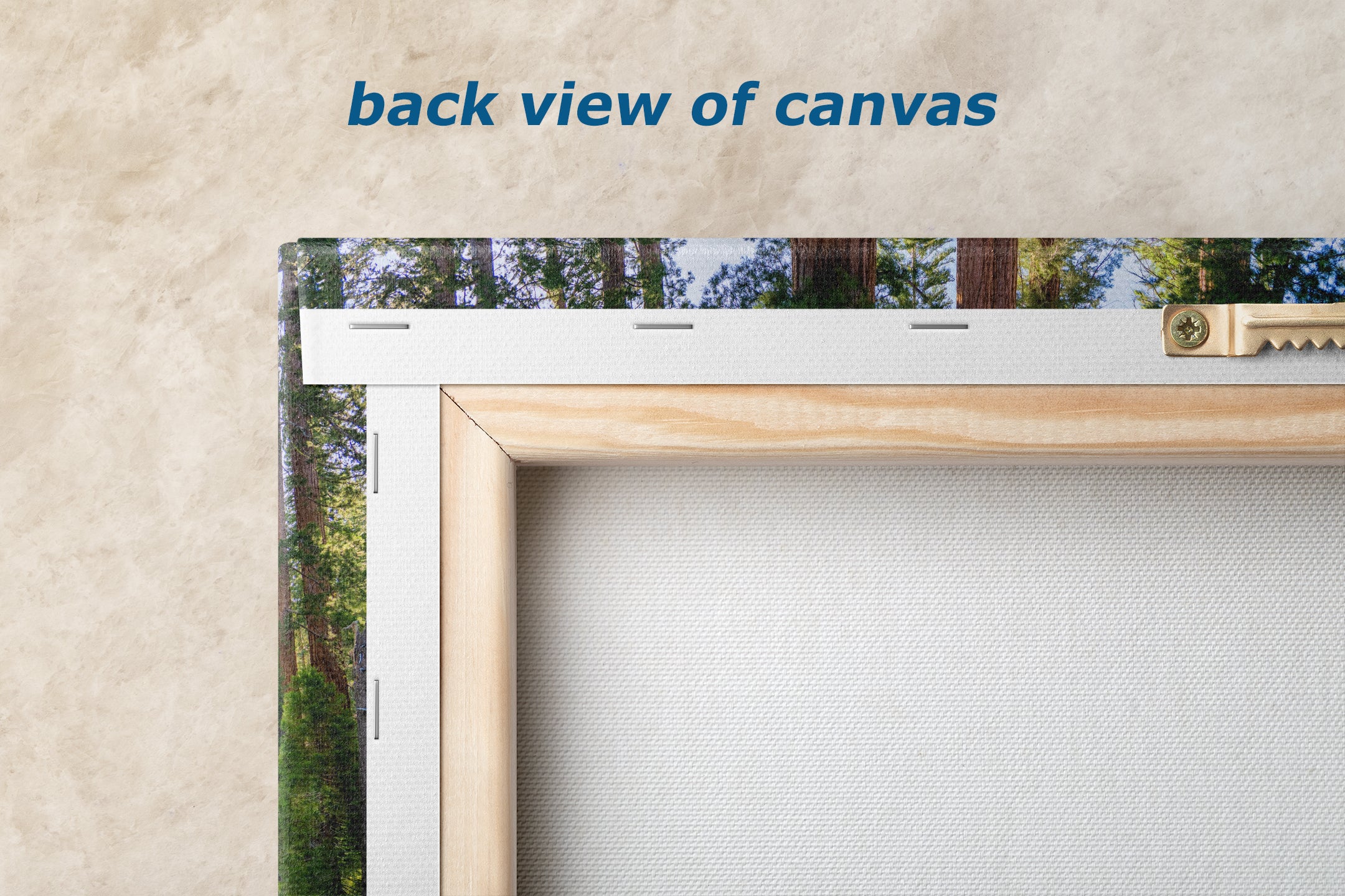 Giant Sequoia Tree Forest Picture Nature Photo | Yosemite Redwood Trees for Nature Lovers & Forest Bathing Relaxation, Meditation Artwork