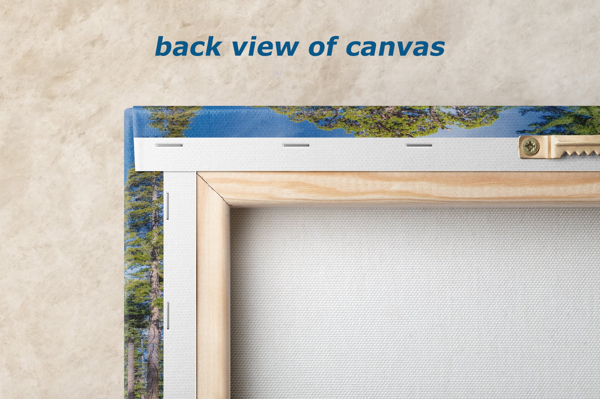 Giant Sequoia Tree Forest Picture Nature Photo, Yosemite Redwood Trees, Forest Bathing for Nature Lovers, House and Office