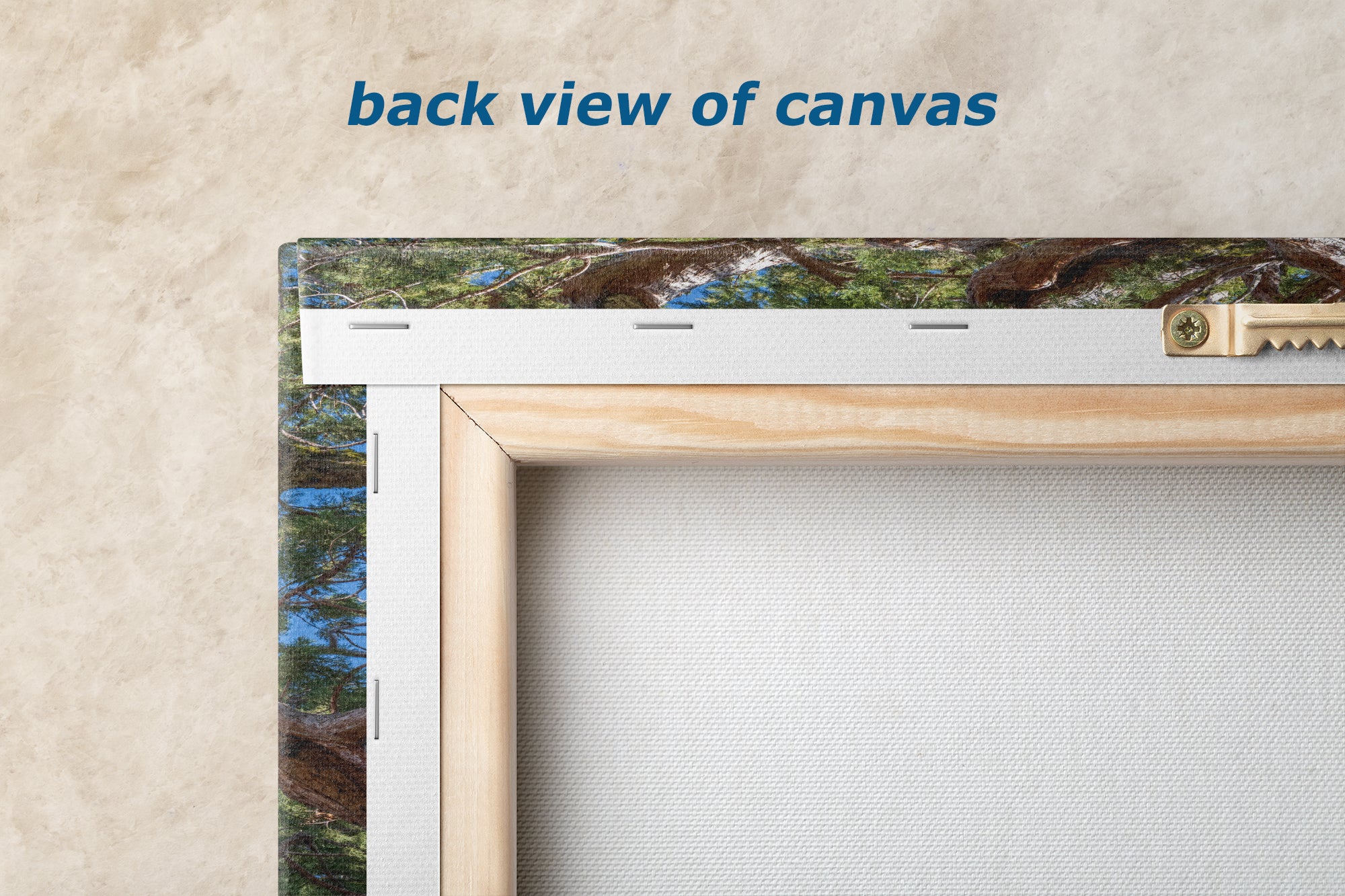 Giant Sequoia Tree Forest Picture Nature Photo, Yosemite Mariposa Grove Redwood Trees, Forest Bathing Relaxation Artwork for Nature Lovers