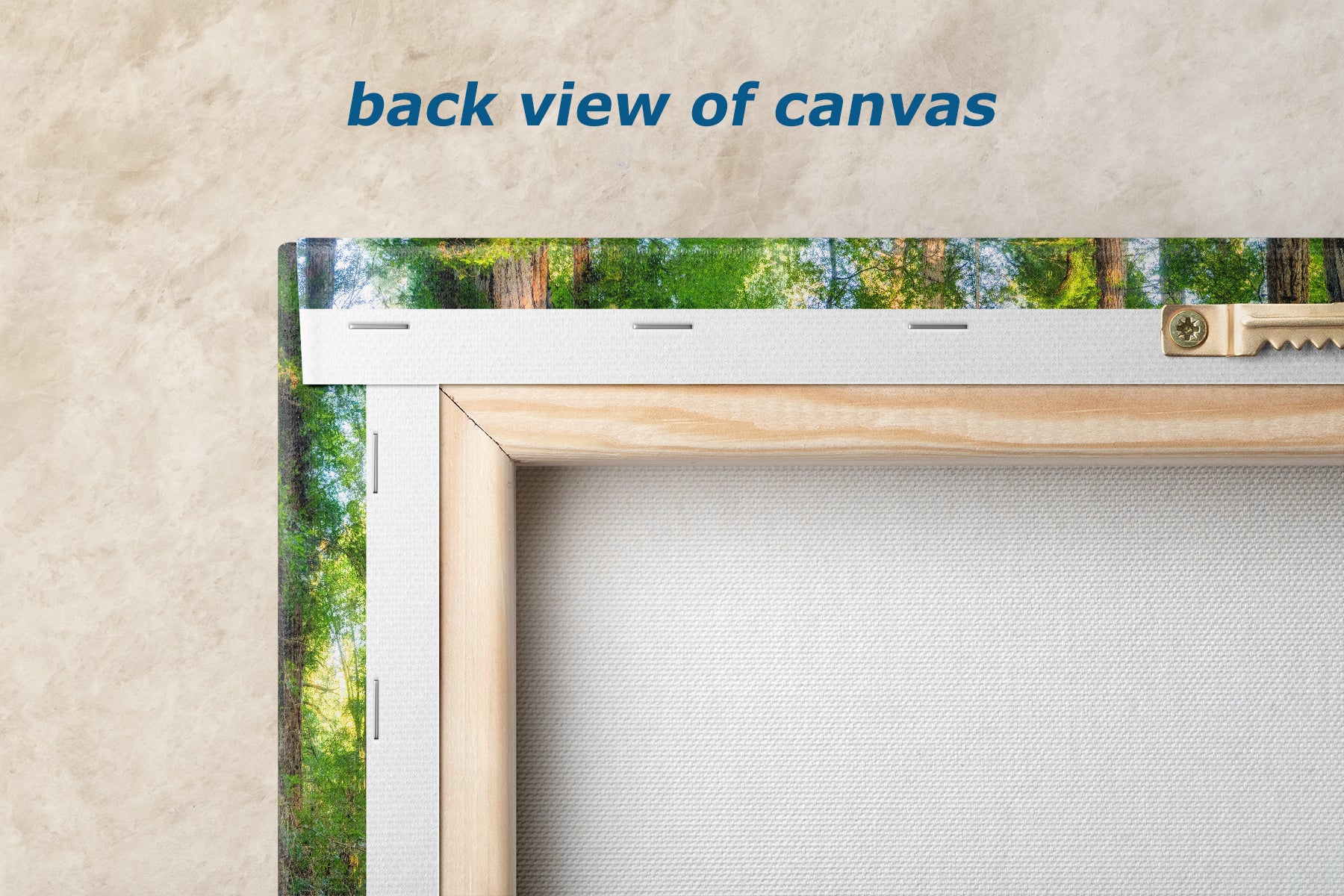 Redwood Trees Forest Picture Nature Photo, Forest Bathing Relaxation Artwork for Calming Meditation, Office and House Decor