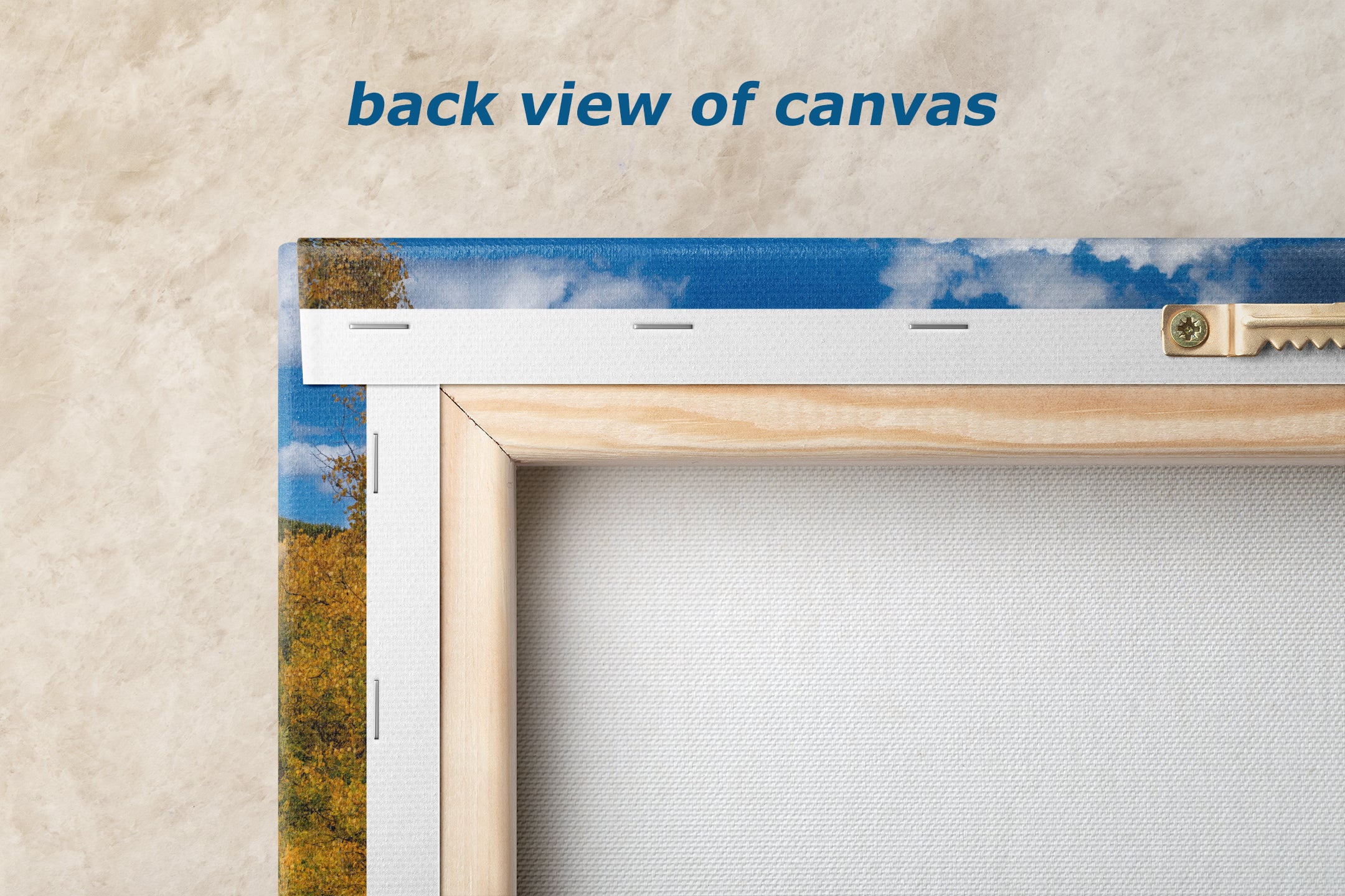 Colorado San Juan Mountains Picture, Fall Colors Nature Photo of Aspen Trees for Relaxation Meditation and Home Decor