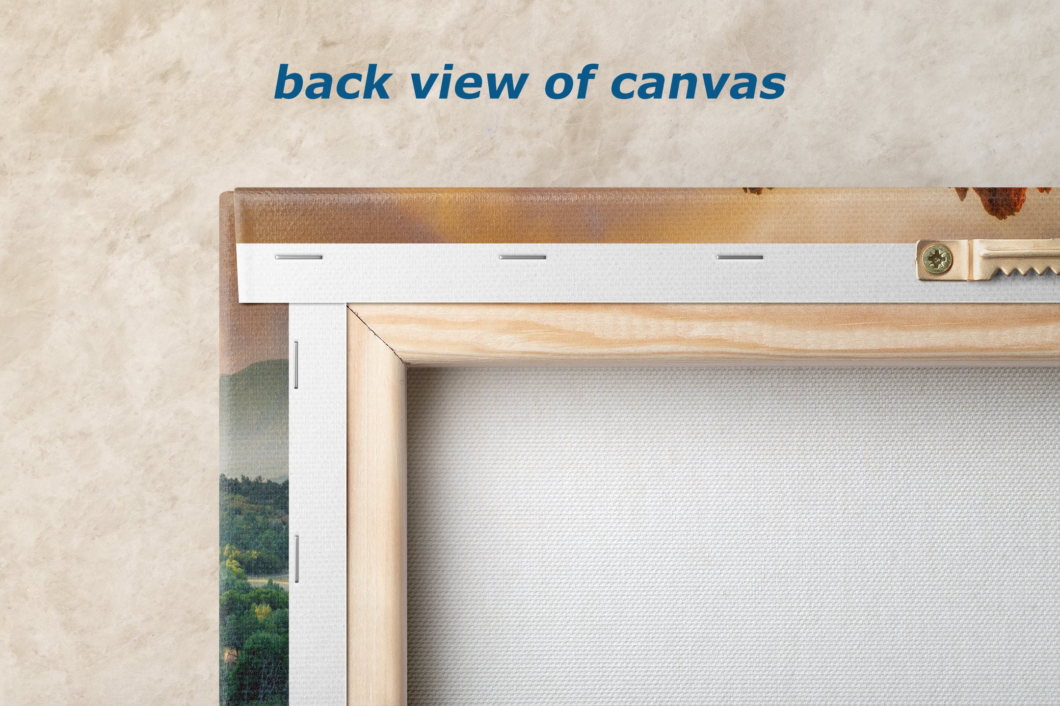 Garden of the Gods Colorado Mountain Picture Nature Photo, Rocky Mountain Relaxation Artwork for Meditation, Office, & House Decor