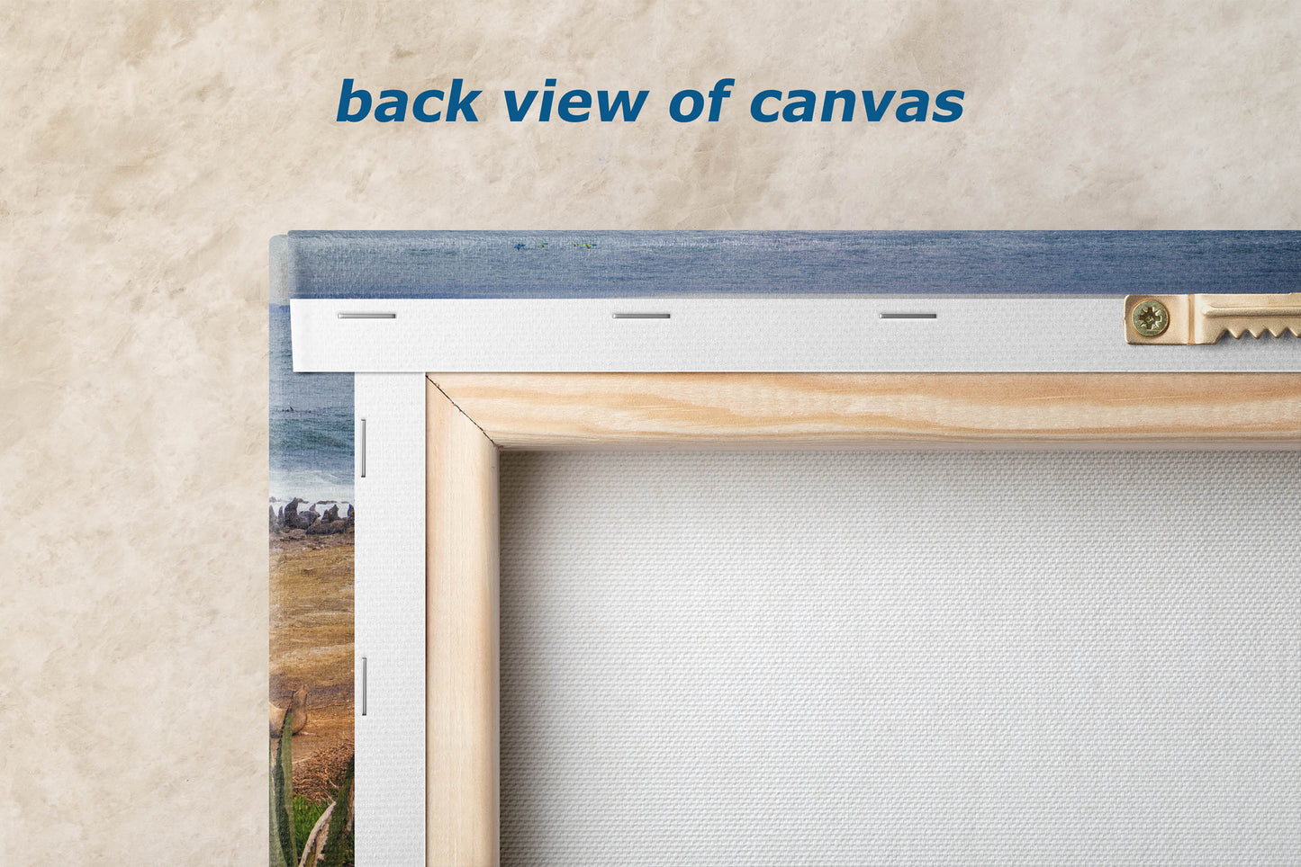 California Sea Lion Marine Mammal Wildlife Photography | Calming Nature Ocean Picture, Relaxation Artwork, La Jolla Coast, Nature Photo