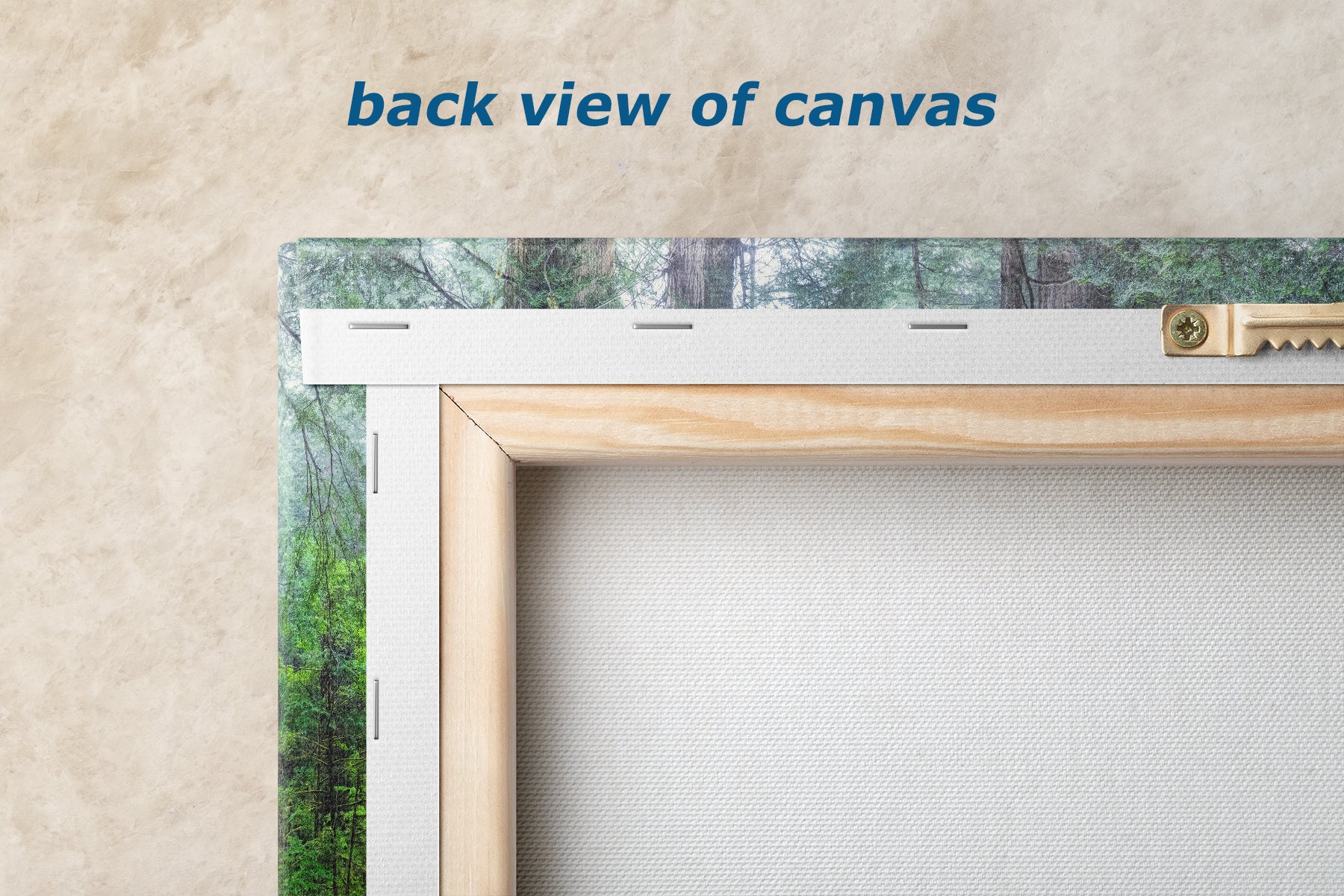 Redwood Trees Forest Picture Nature Photo, Forest Bathing in Misty California Redwoods Wall Art, for Relaxation in the Home and Office