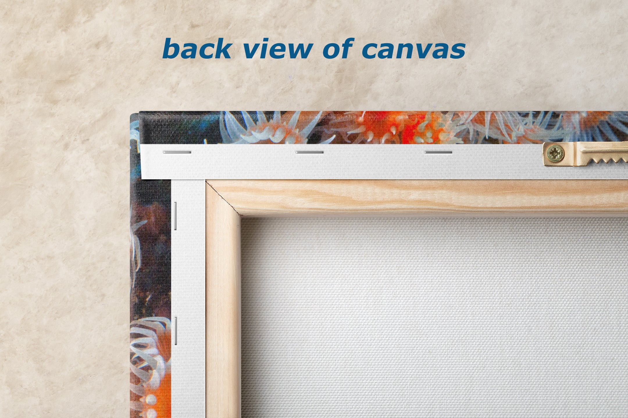 Sea Anemone Picture Ocean Life Underwater Scenery Nature Photo, Vibrant Coral Reef Wall Art, Marine Biology Gift for Ocean Lover