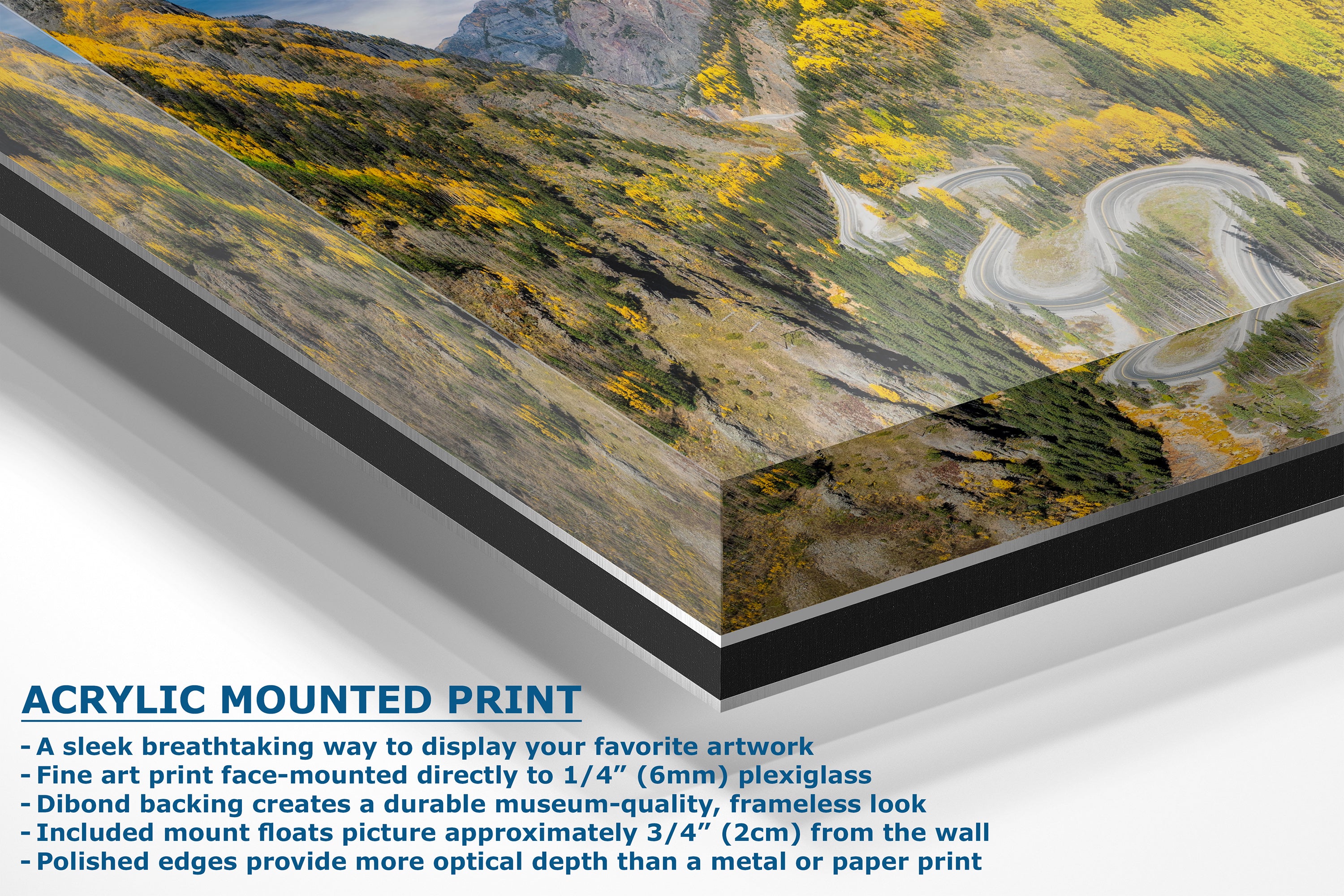 Colorado San Juan Mountain Picture, Million Dollar Highway Fall Colors Aspen Trees Forest Picture, Nature Photo for Relaxation Artwork, Meditation and House Decor