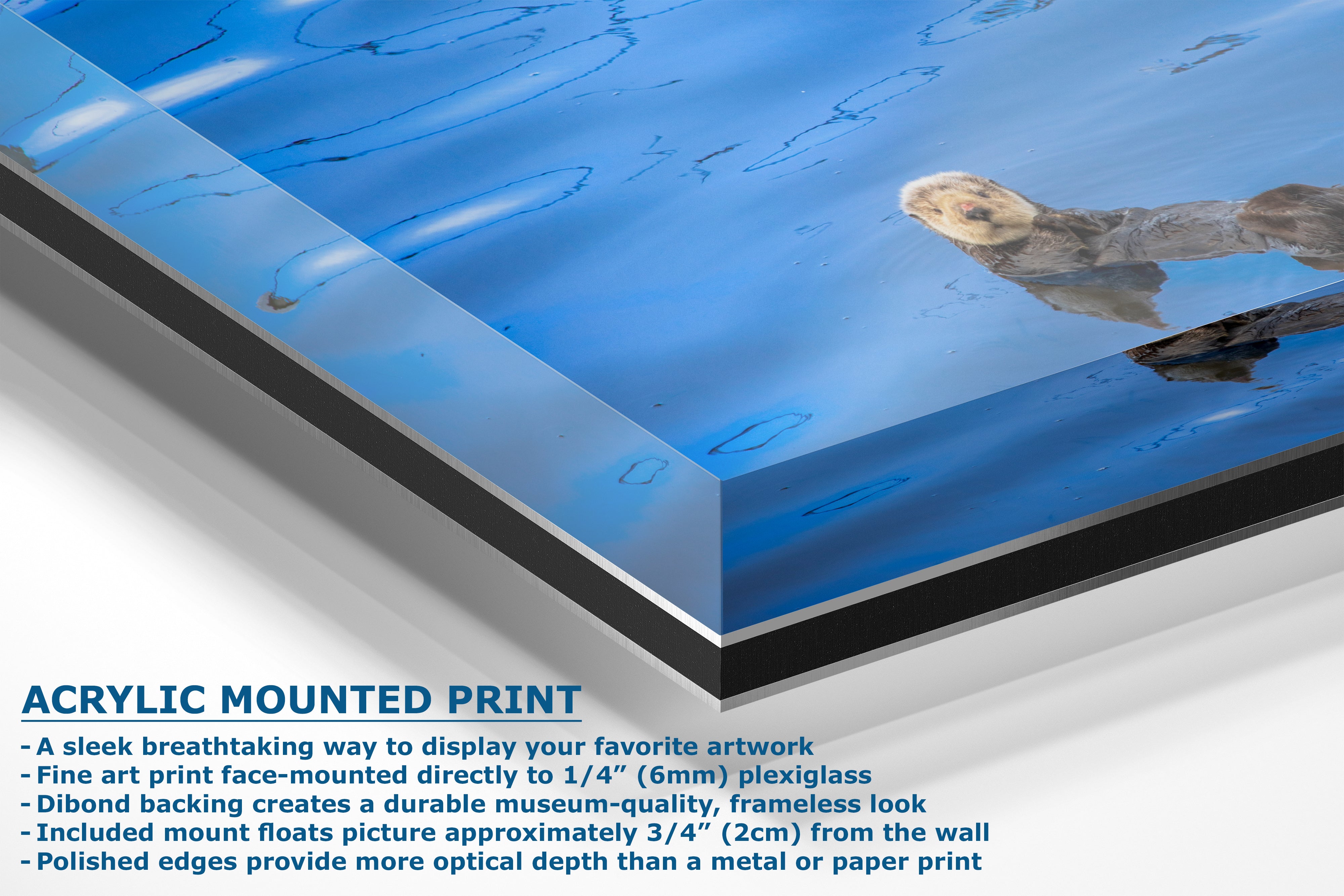 Ocean Picture Limited Edition Fine Art Print – Sea Otter Wildlife Photography Nature Photo