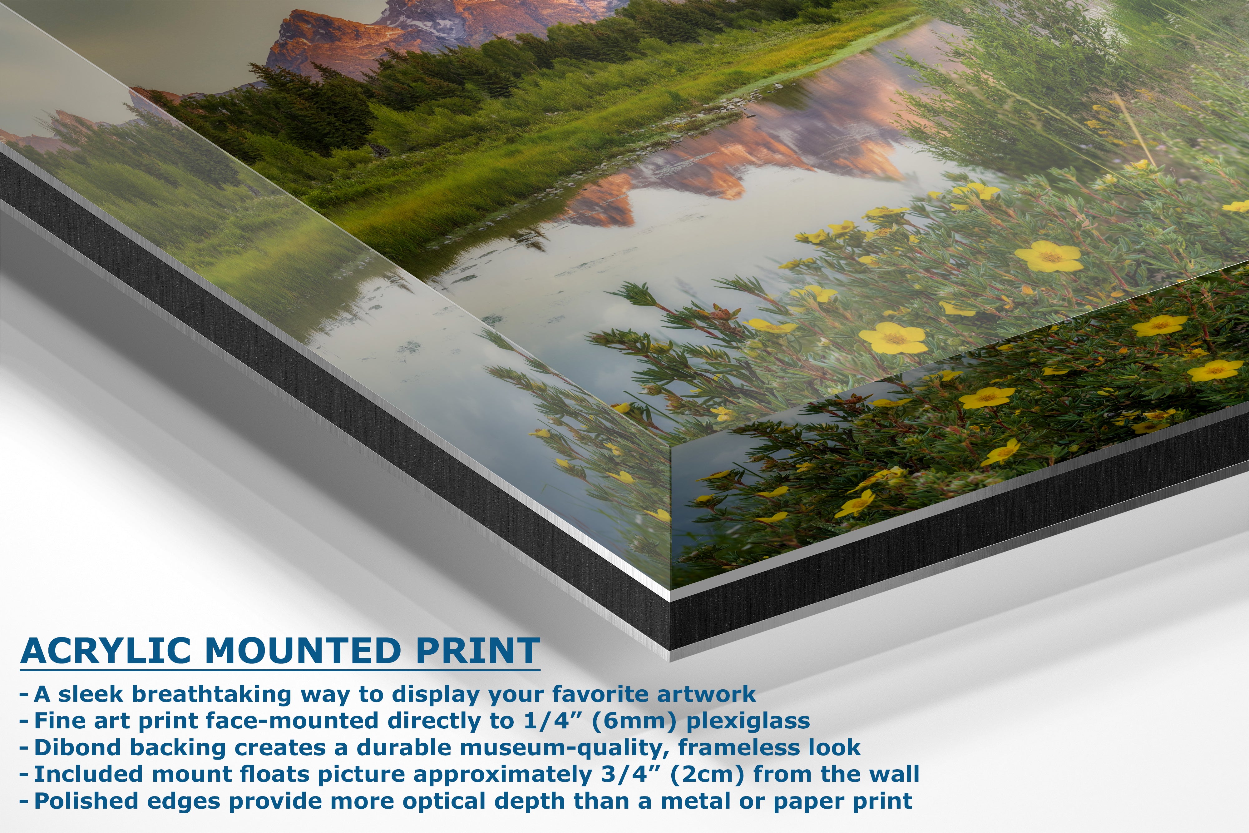 Grand Teton National Park Mountain Picture, Schwabacher Landing Nature Photo for Bohemian Decor and Meditation Artwork