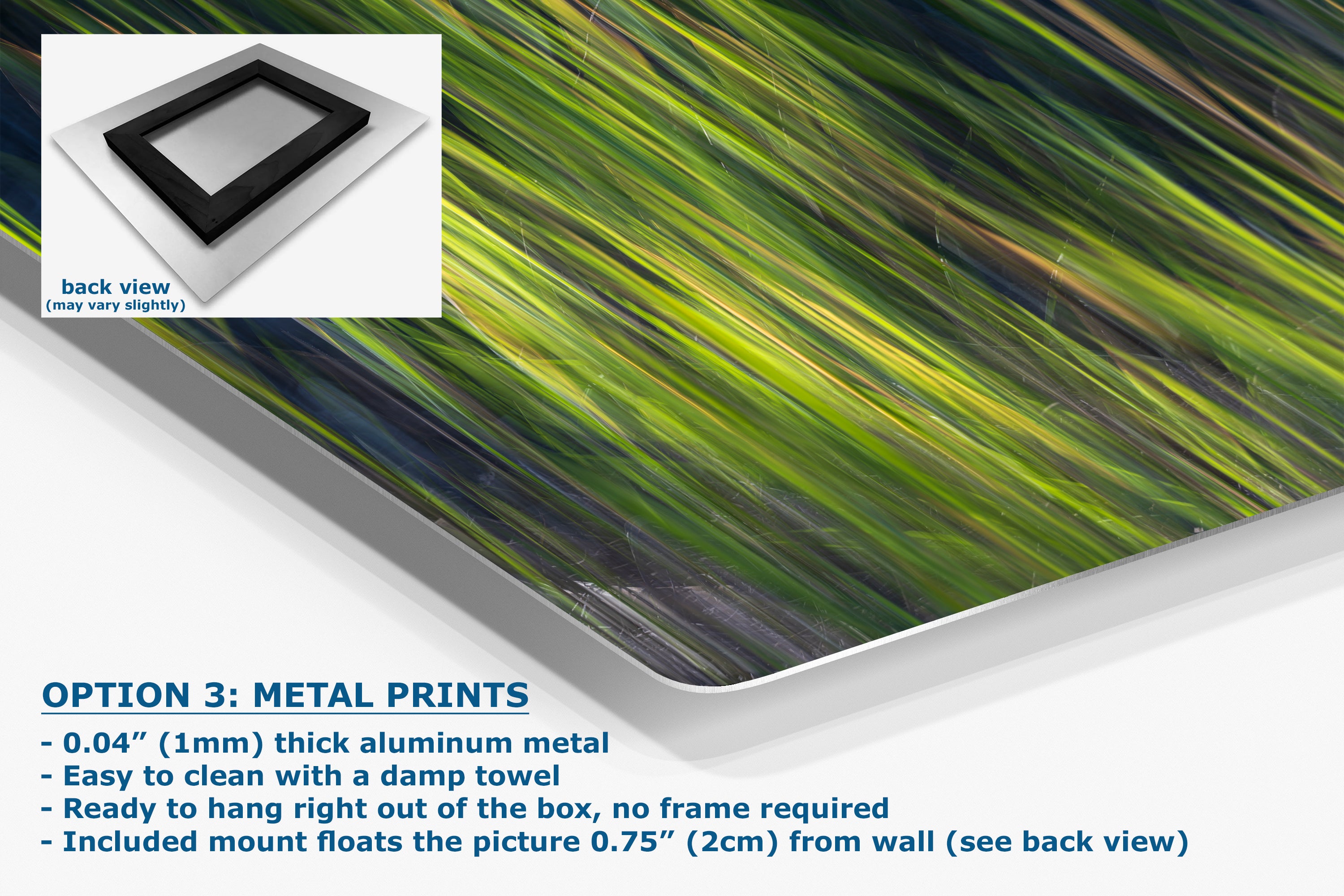 Sage Green Abstract Art Nature Photo