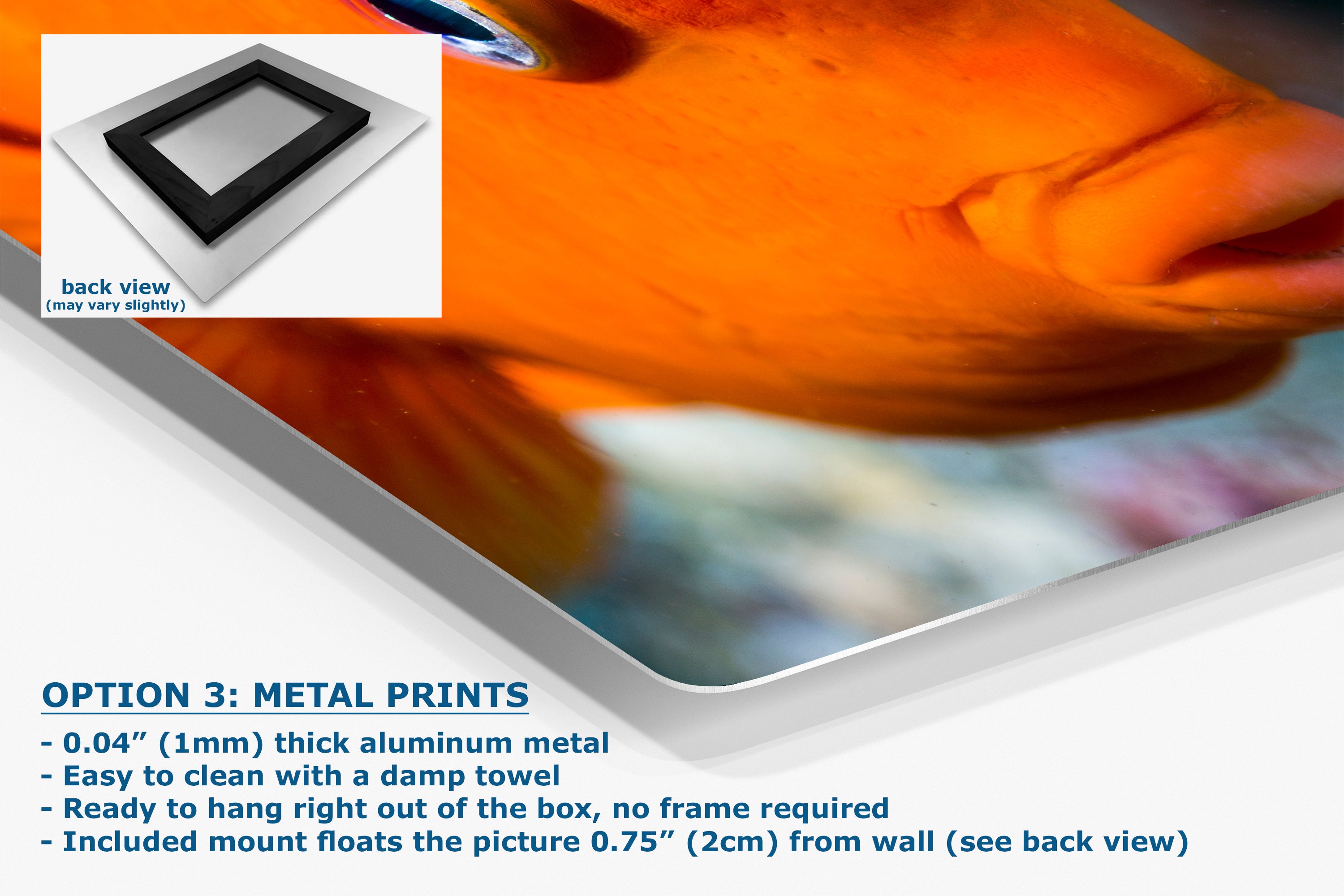 Garibaldi Fish Marine Biology Ocean Life, Underwater Scenery Nature Photo, California Marine Inhabitant, Nature Decor, Relaxation Artwork