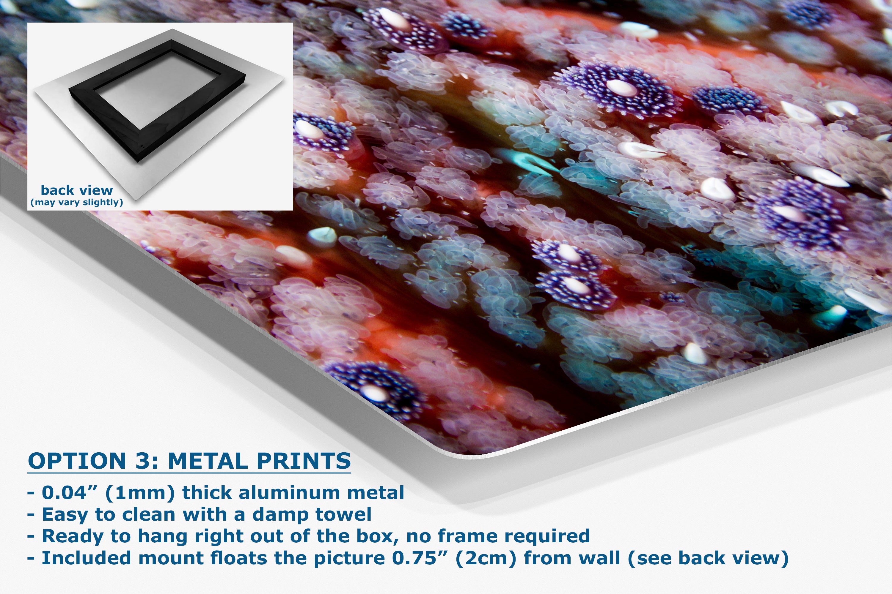 Ocean Life Starfish Photo, Marine Biology Underwater Scenery, Vibrant Coral Reef, Nature Photography for Office Decor, Relaxation Artwork