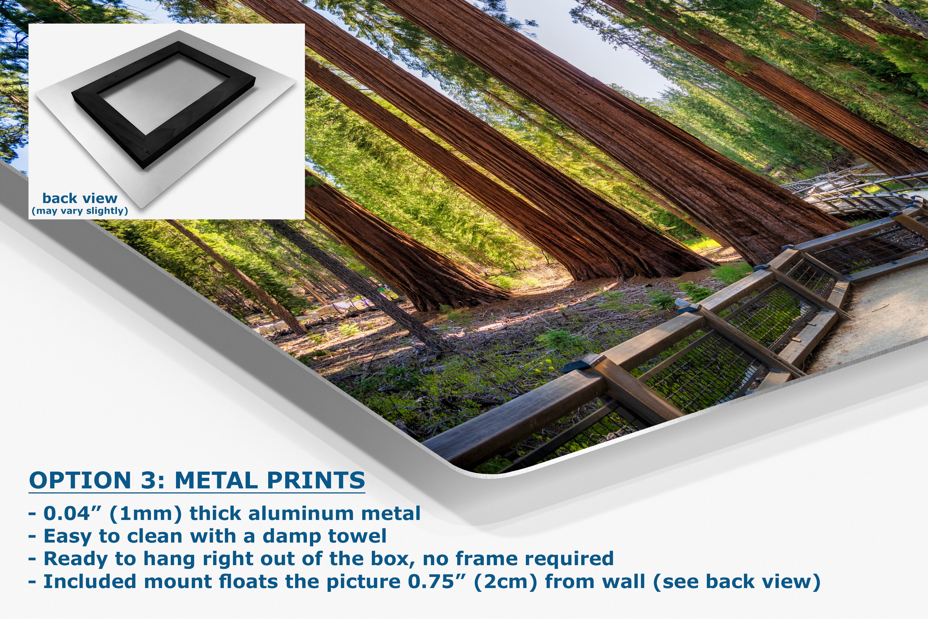 Giant Sequoia Tree Forest Picture Nature Photo | Yosemite Redwood Trees for Nature Lovers & Forest Bathing Relaxation, Meditation Artwork