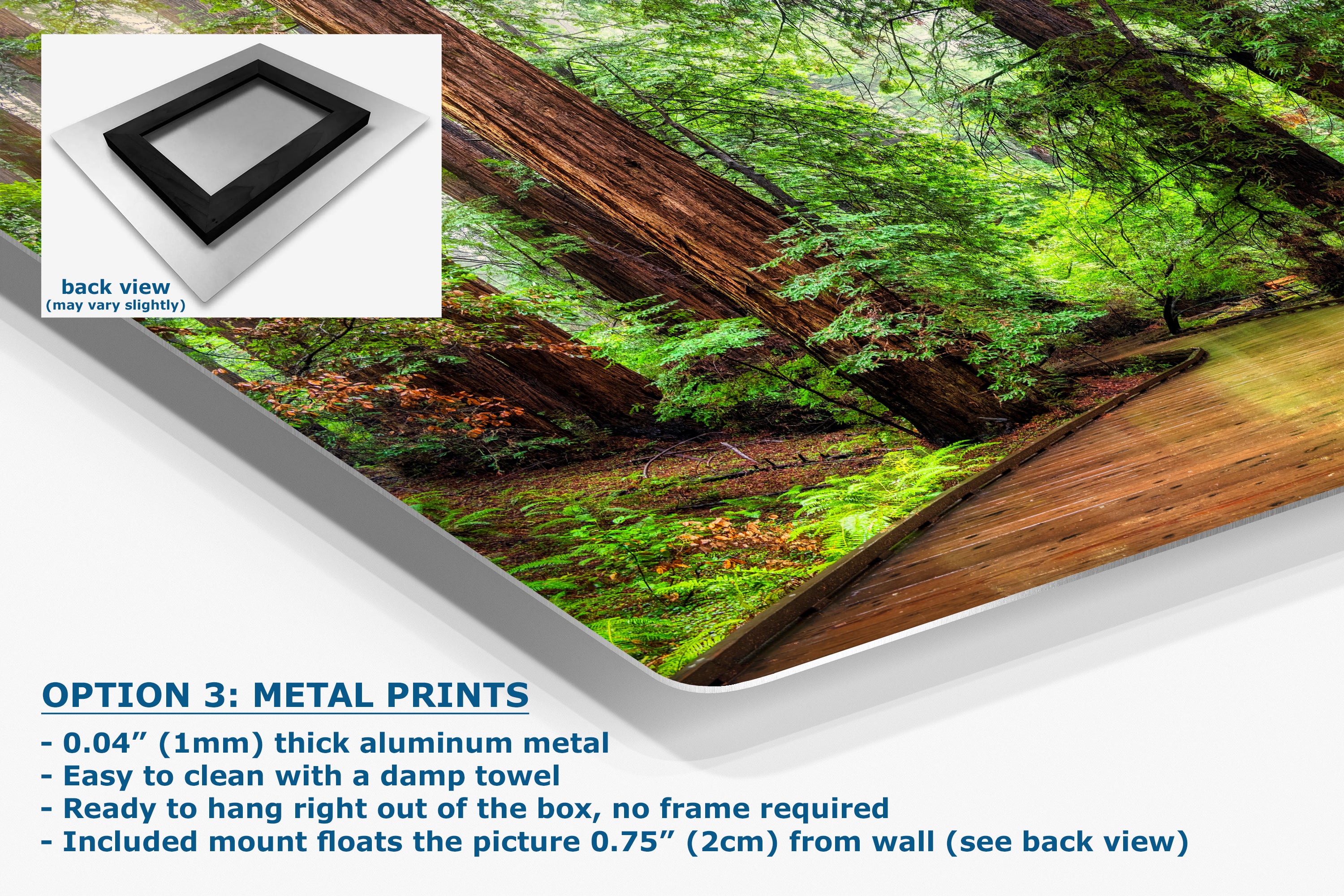 Redwood Trees Forest Picture Sunrise Nature Photo, Forest Bathing House Decor, Relaxing Wall Art for Meditation, Home and Office