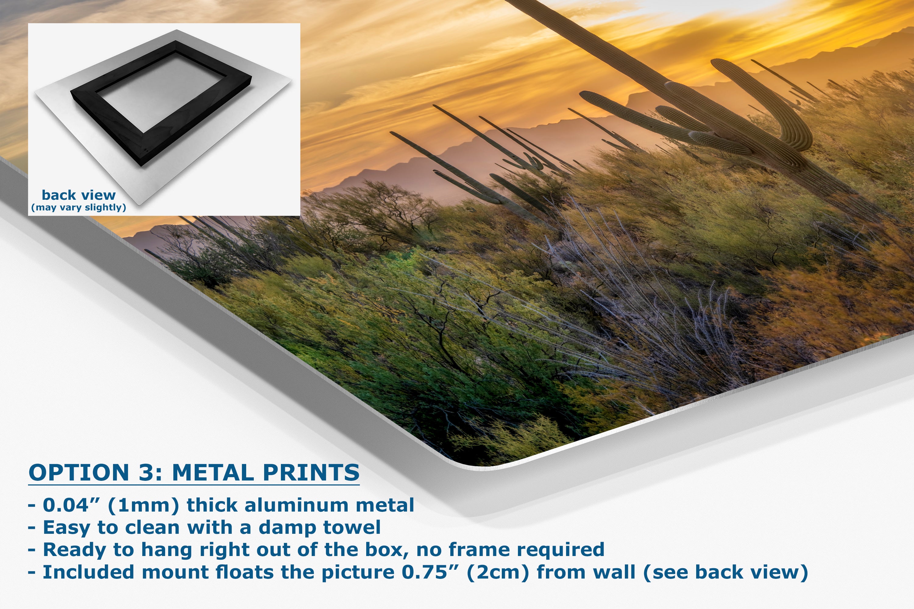 Saguaro National Park Arizona Desert Picture Sunset Nature Photo, Bohemian Style Relaxation Artwork, Southwestern Sonoran Desert House Decor