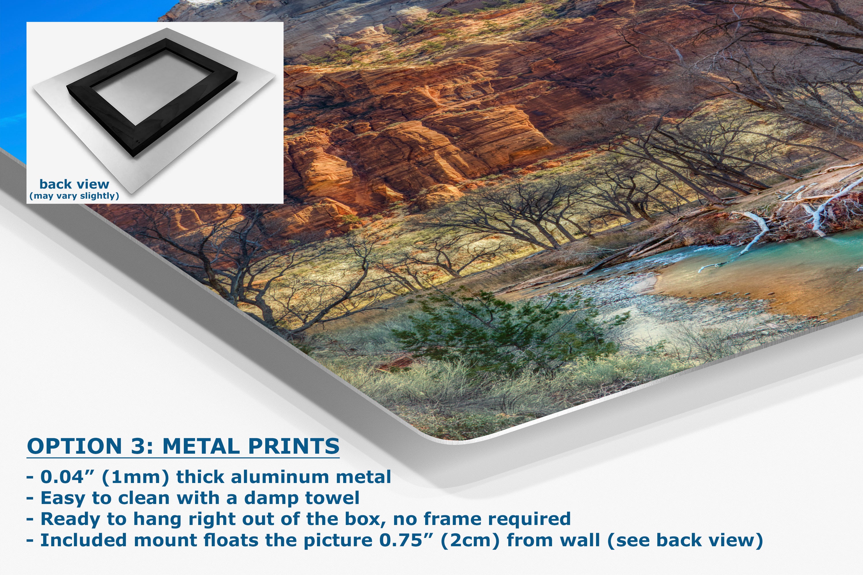 Zion National Park Southern Utah Desert Picture, Southwestern Wall Art, Relaxation Artwork Nature Photo for House Decor