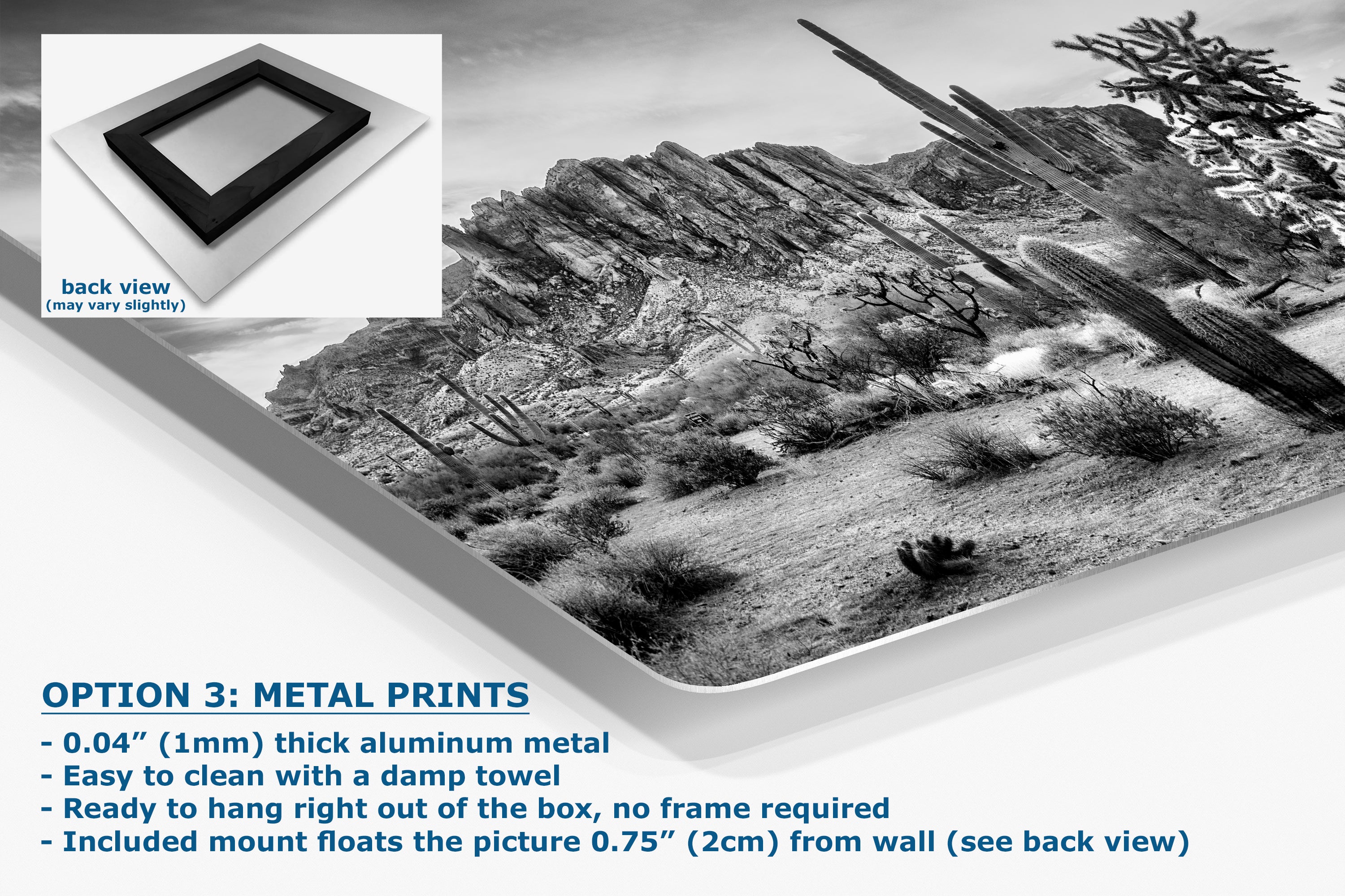 Arizona Desert Picture in Black and White, Saguaro Cactus Artwork Nature Photo, Southwestern Wall Art of Superstition Mountains at Lost Dutchman State Park