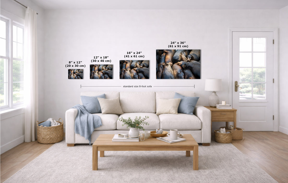 A staged living room with a white sofa, coffee table, and wall-mounted framed art. The product being shown is the set of four wall art prints above the couch, with overlaid size labels for each frame.