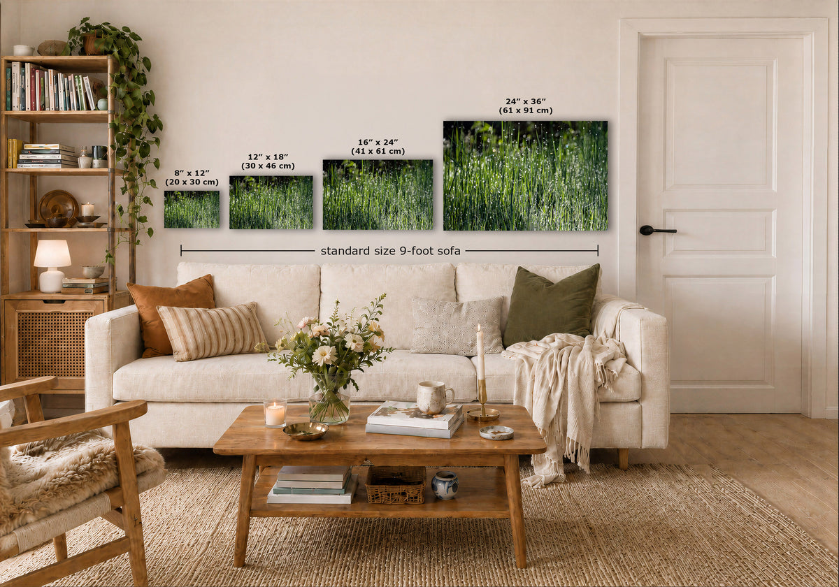 A styled living room showing four vertical wall art prints in different sizes mounted above a white sofa. The prints depict a green grassy field with white text indicating dimensions: 8" x 12", 12" x 18", 16" x 24", and 24" x 36".