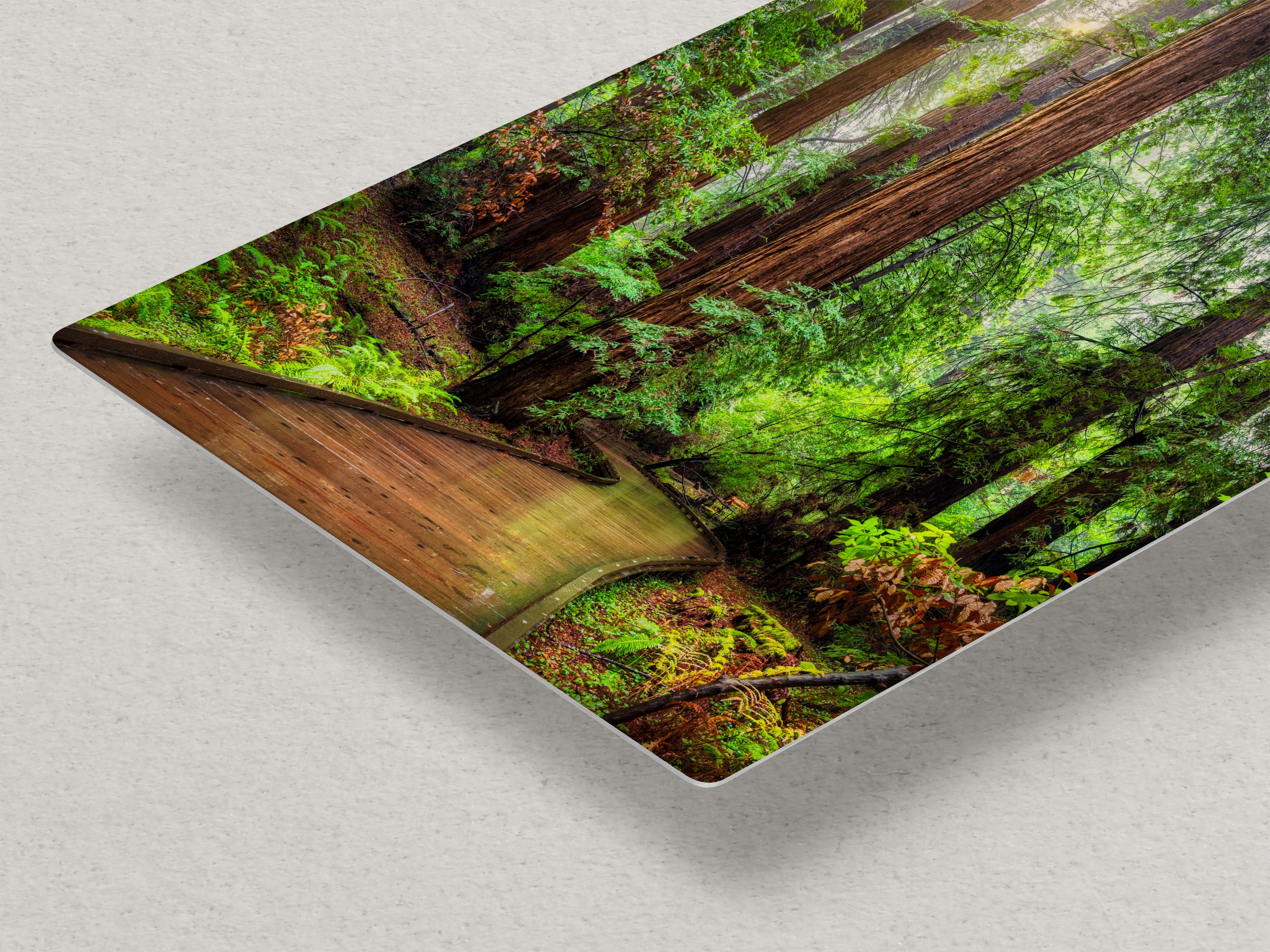 Redwood Trees Forest Picture Sunrise Nature Photo, Forest Bathing House Decor, Relaxing Wall Art for Meditation, Home and Office