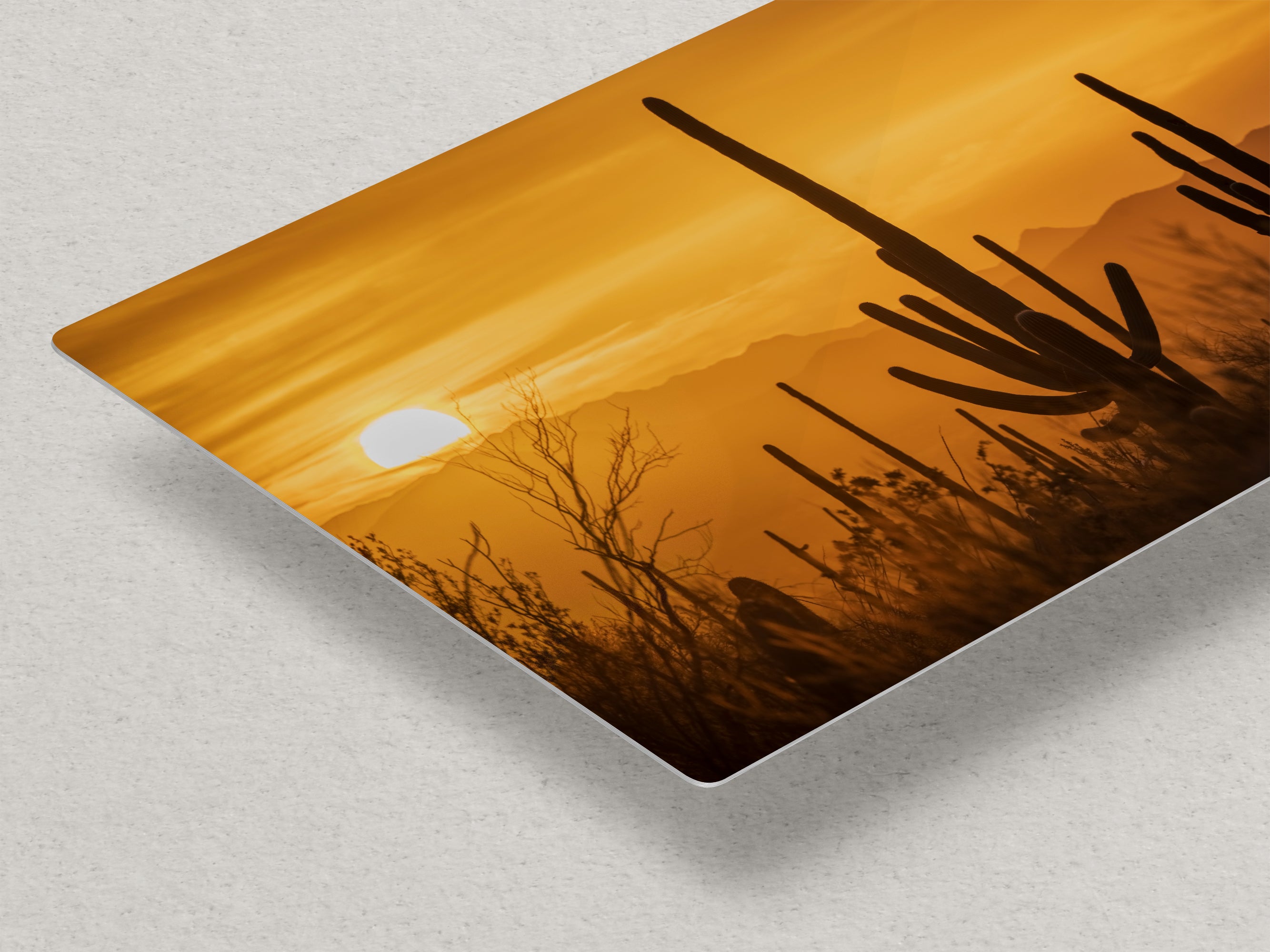 Saguaro National Park Arizona Desert Picture Nature Photo Silhouette, Bohemian Style Relaxation Artwork, Southwestern Sonoran Desert House Decor