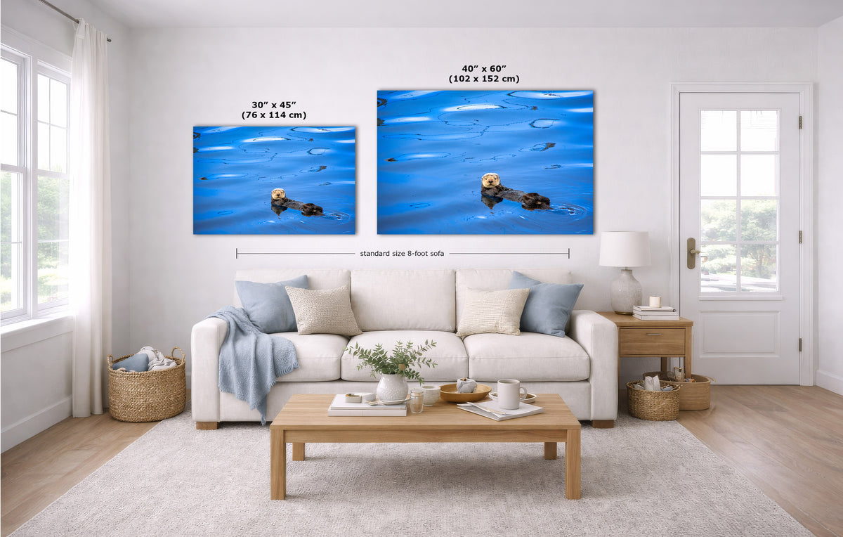 A staged living room shows two ocean artwork prints above a white sofa. The prints depict blue water with sea otters, and the image includes size labels and a dimension line indicating the standard size of the frames.