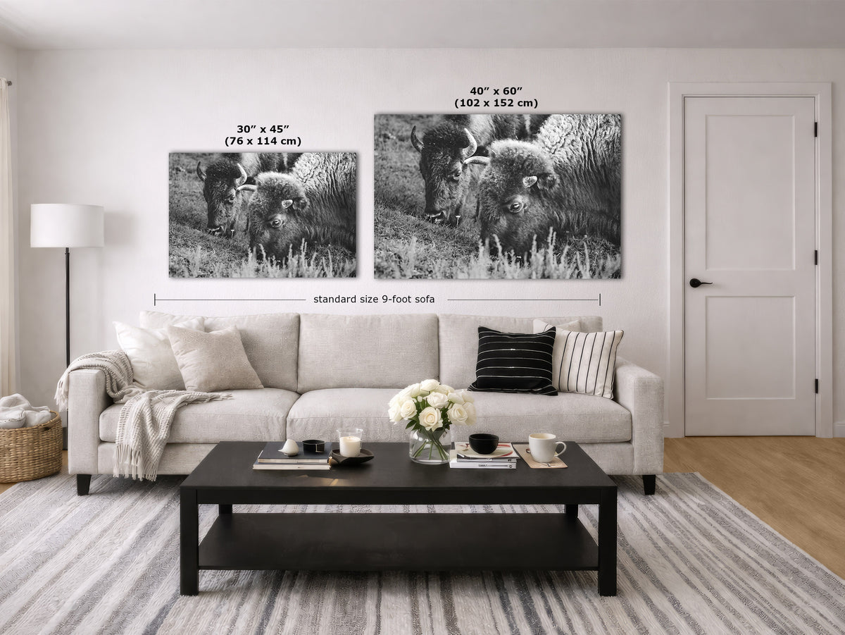 A staged living room showing two black-and-white wall art prints above a light sofa, with overlaid size labels reading 30 x 45 inches and 40 x 60 inches plus a note for standard size 9-foot sofa.