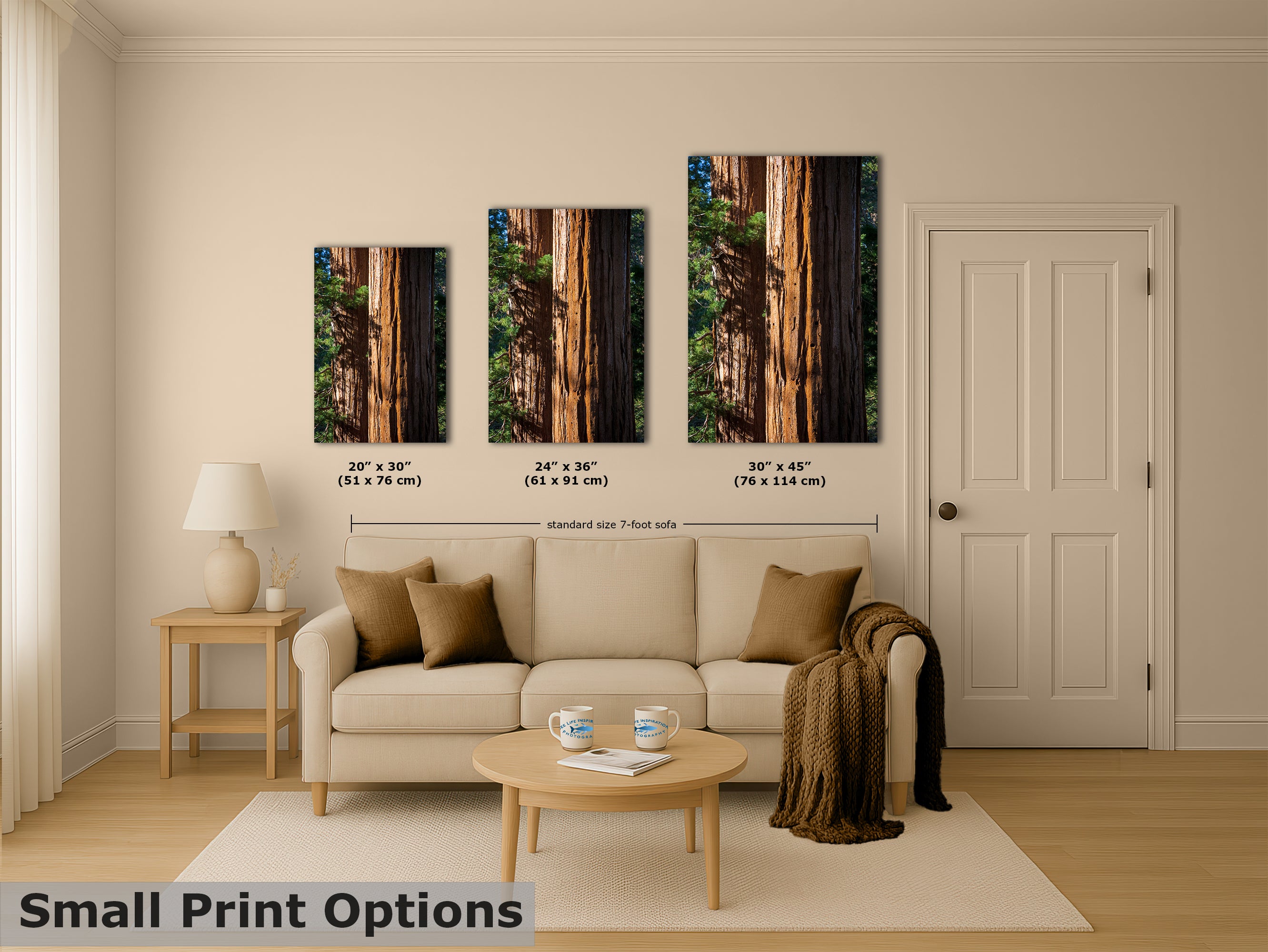 Giant Sequoia Tree Forest Picture Nature Photo, Redwood Trees Wall Art, Forest Bathing National Park Poster, Relaxation Decor