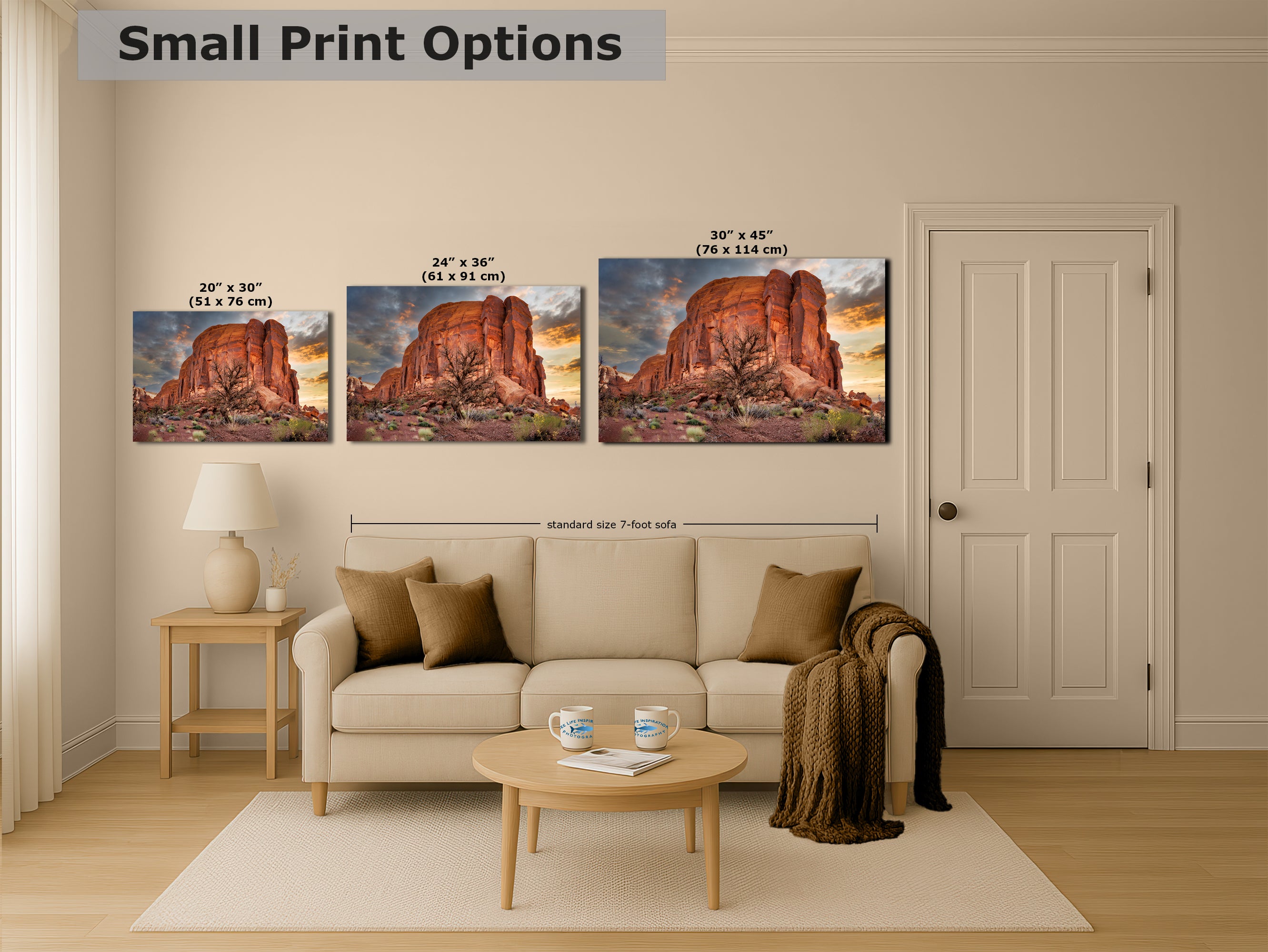 Monument Valley Arizona Desert Picture Cactus Nature Photo, Bohemian Style Relaxation Artwork for Meditation, Apartment, Office & House Decor