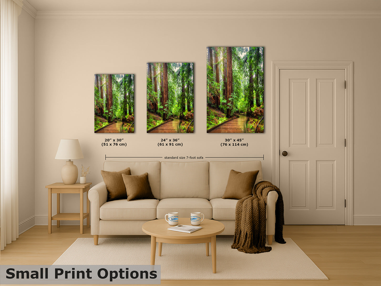 A staged living room showing three vertical wall art prints above a sofa, each depicting a Redwood forest path. The image includes size labels under the prints and a text overlay reading 'Small Print Options' at the bottom left.