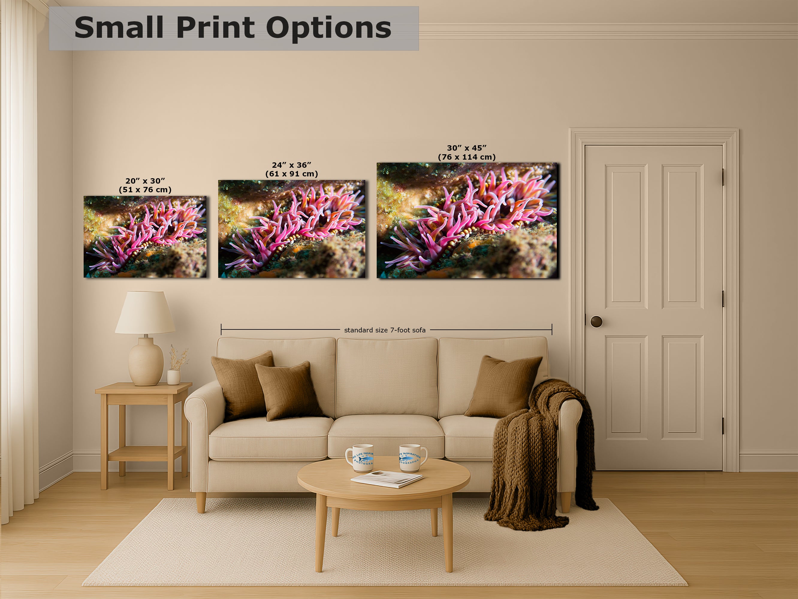 Sea Anemone Picture Ocean Life Underwater Scenery Nature Photo, Marine Biology Coral Reef Art, Vibrant Marine Wildlife Wall Decor