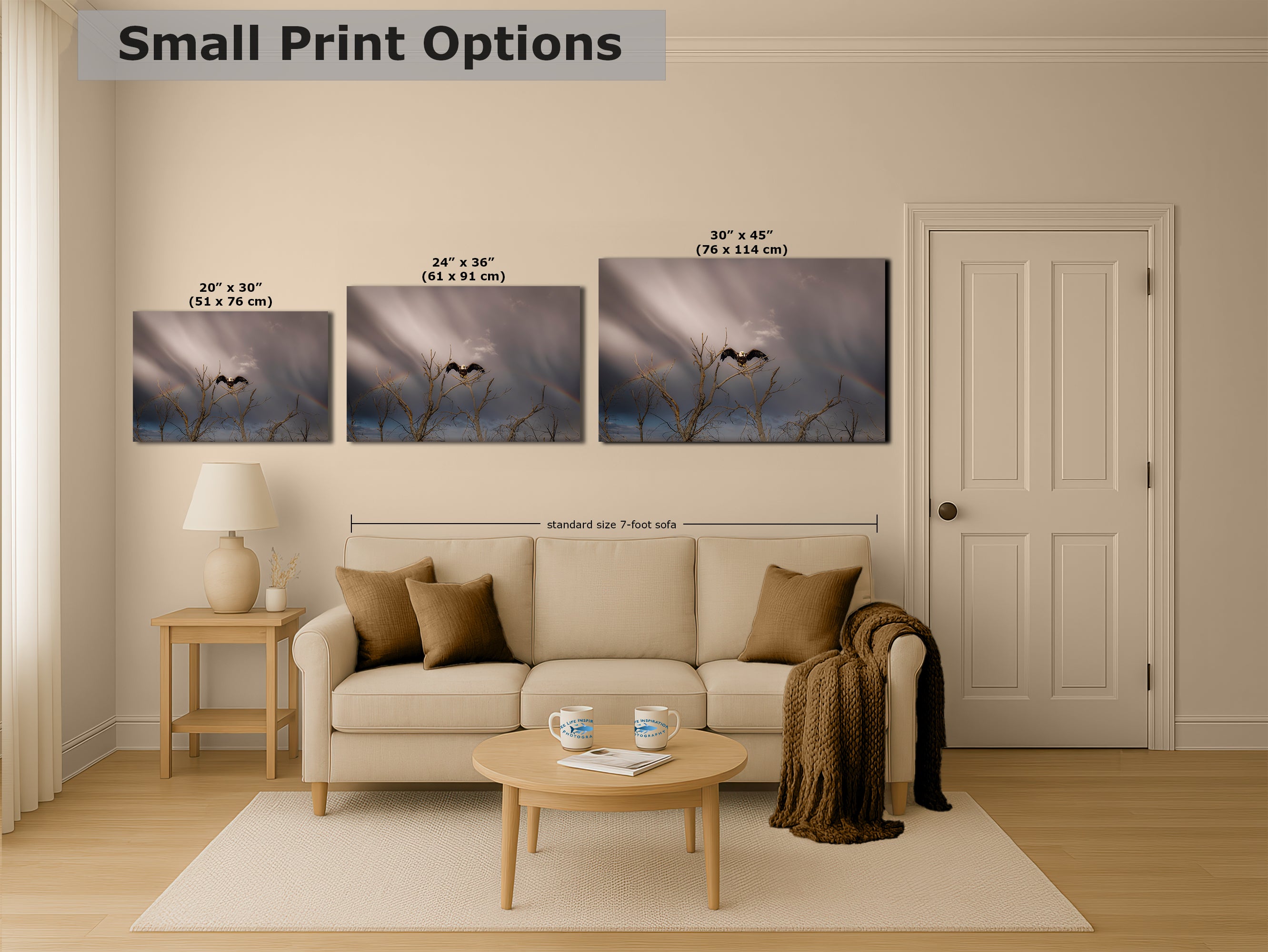 Bald Eagle Picture Wildlife Photography Wall Art, Nature Photo, Bird Photography, Rustic Cabin Decor, Office or Dorm Room Wall Decor