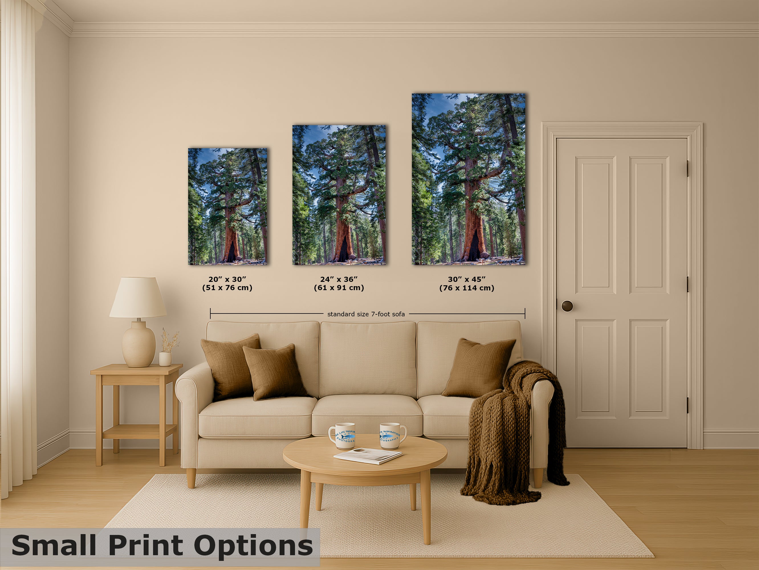 Giant Sequoia Tree Forest Picture Nature Photo, Yosemite Redwood Trees, Mariposa Grove Tree Hugger Decor, Forest Bathing for Relaxation