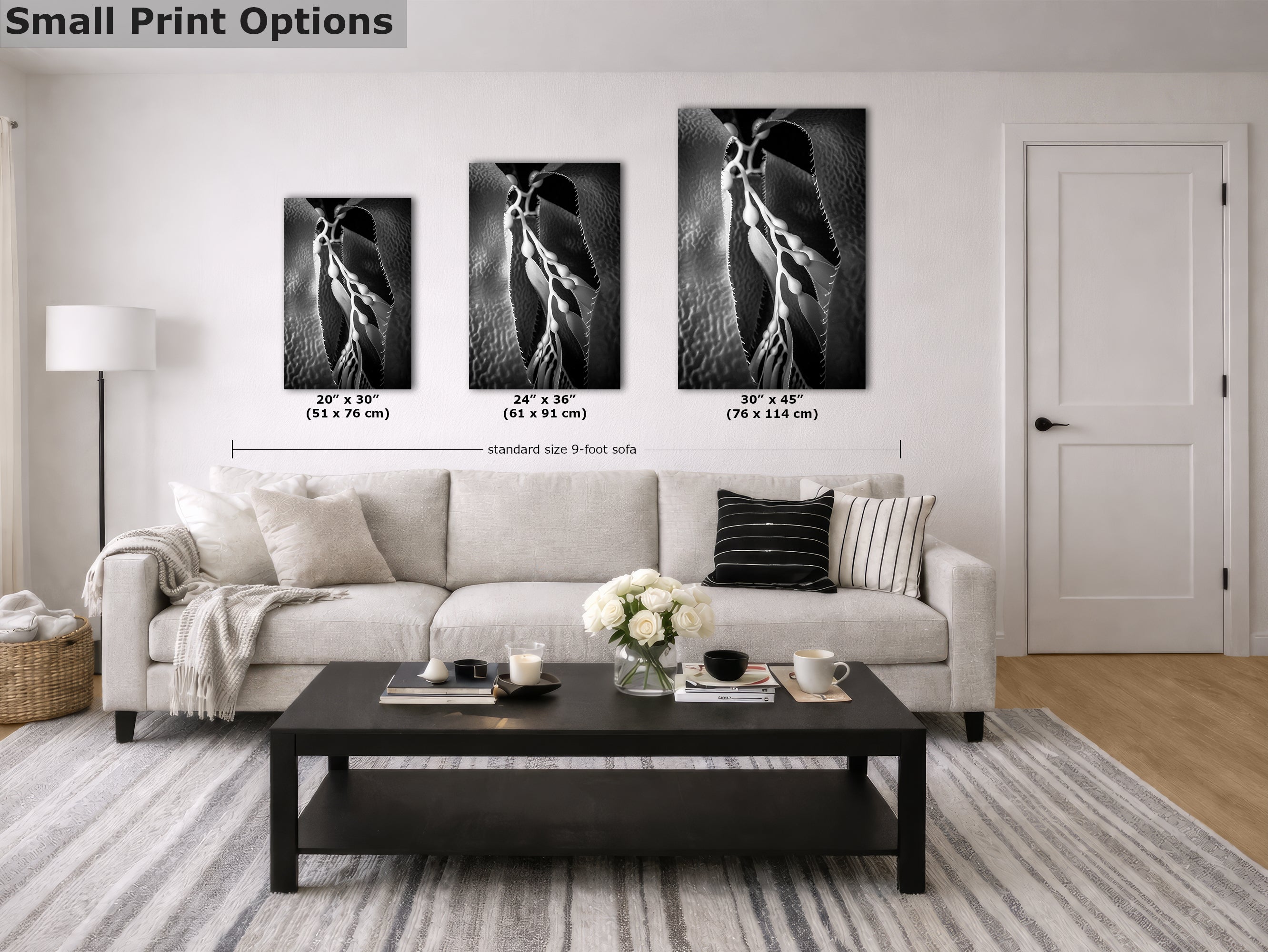 Limited Edition Fine Art Photography, Ocean Art California Giant Kelp, Essence