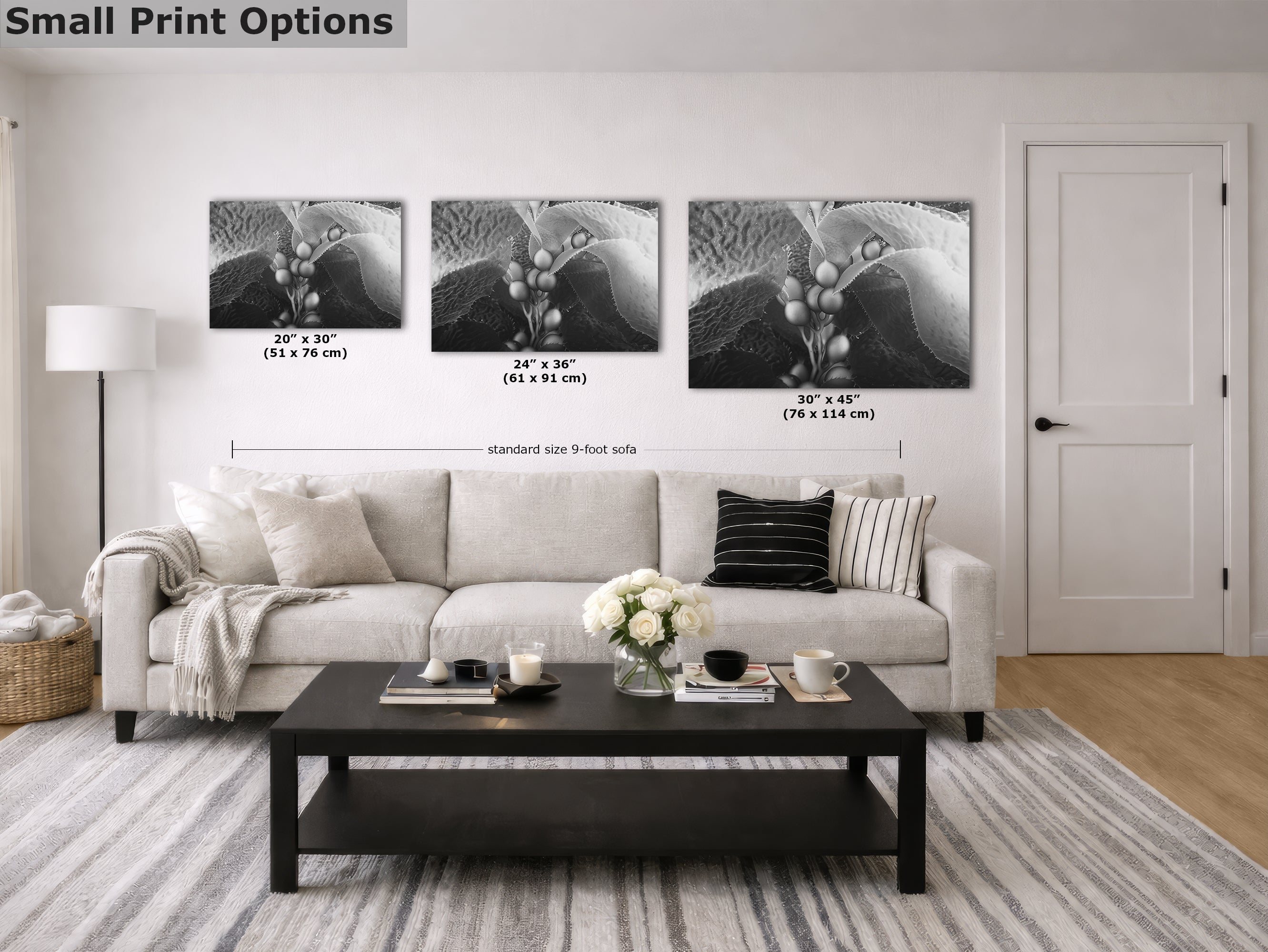 Limited Edition Fine Art Photography, California Giant Kelp Underwater Art, Intention