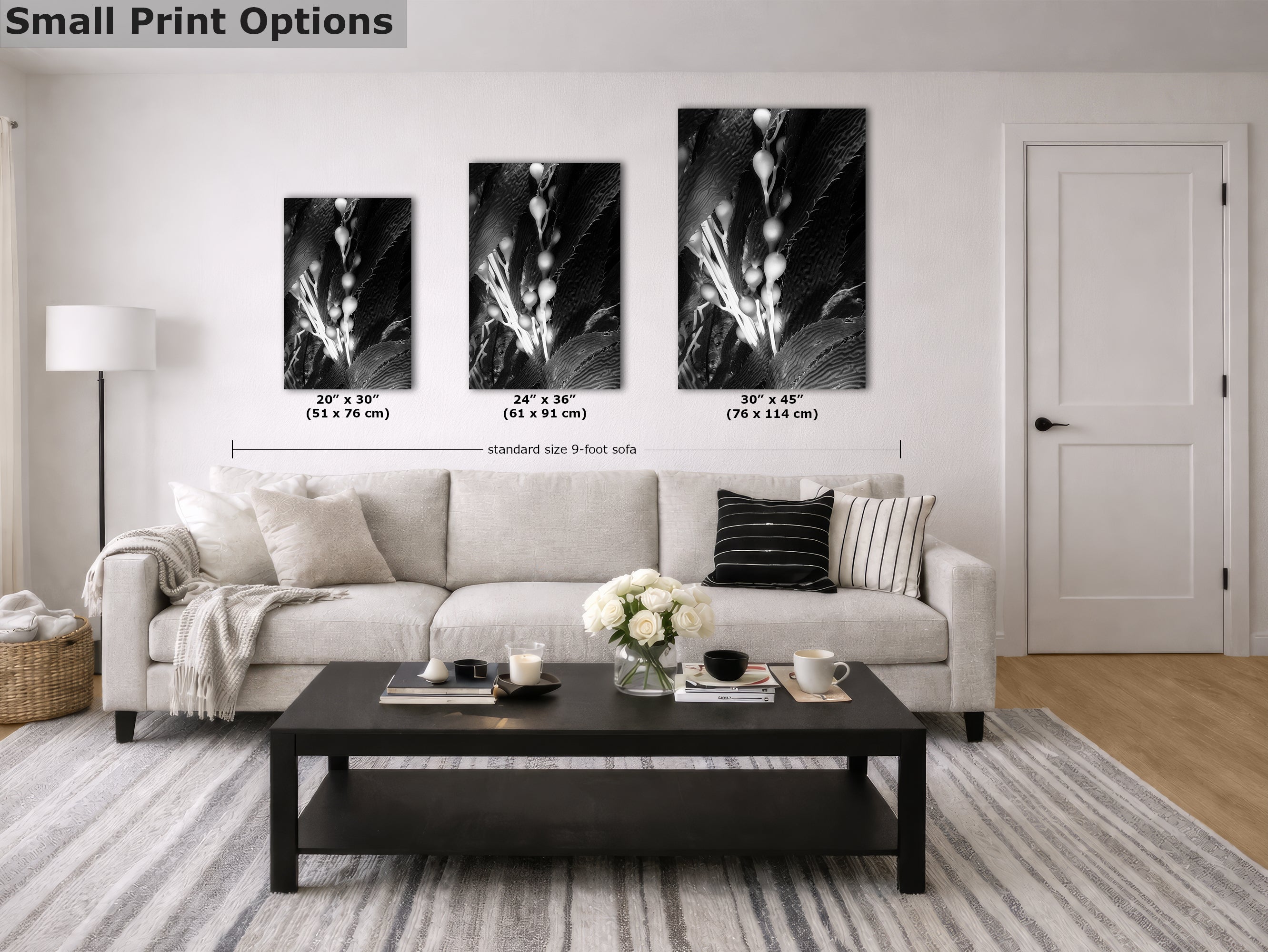 Limited Edition Fine Art Photography, Sea Life Art California Giant Kelp, Surrender