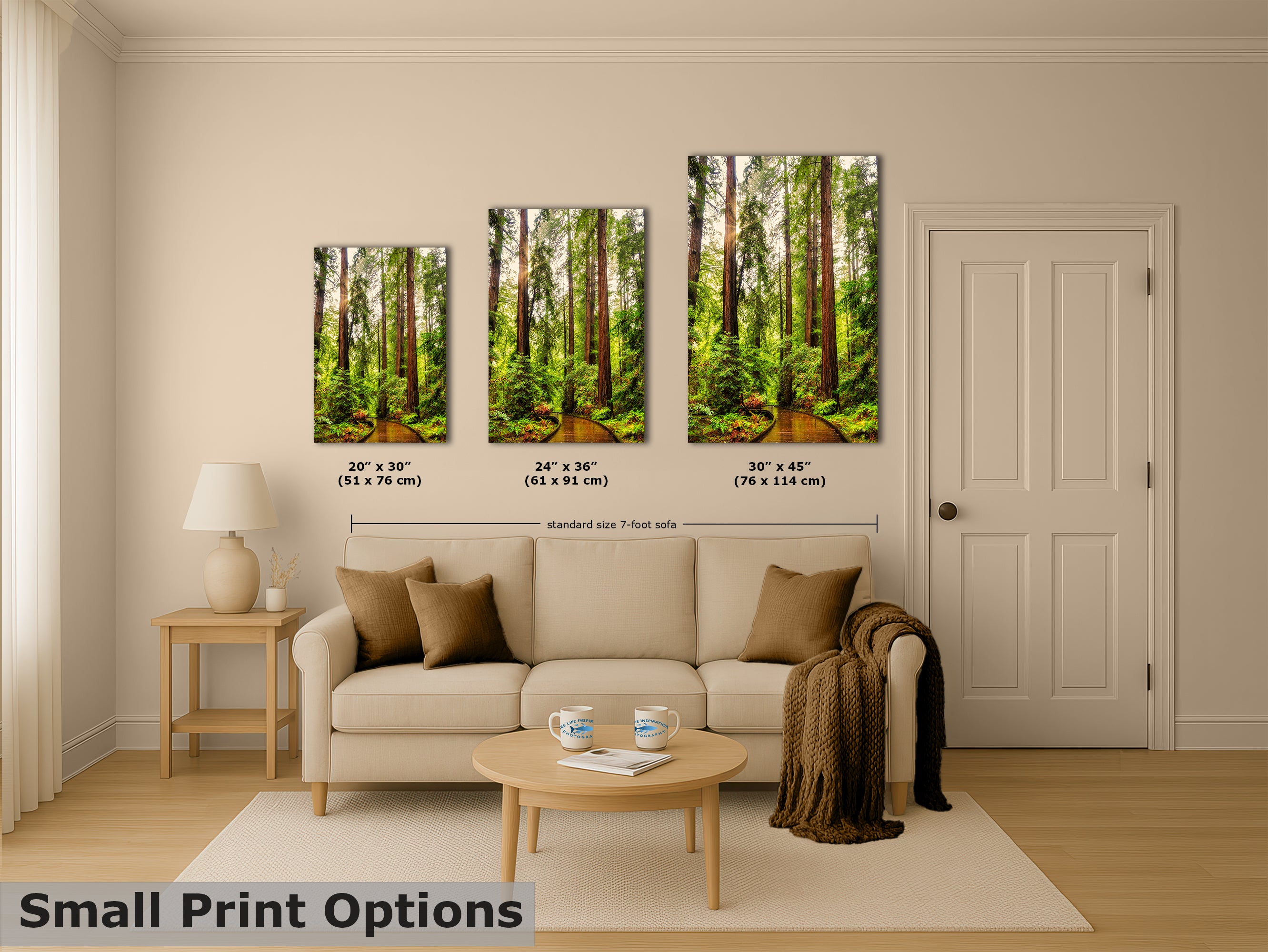 Redwood Trees Forest Picture Nature Photo, Forest Bathing House Decor
