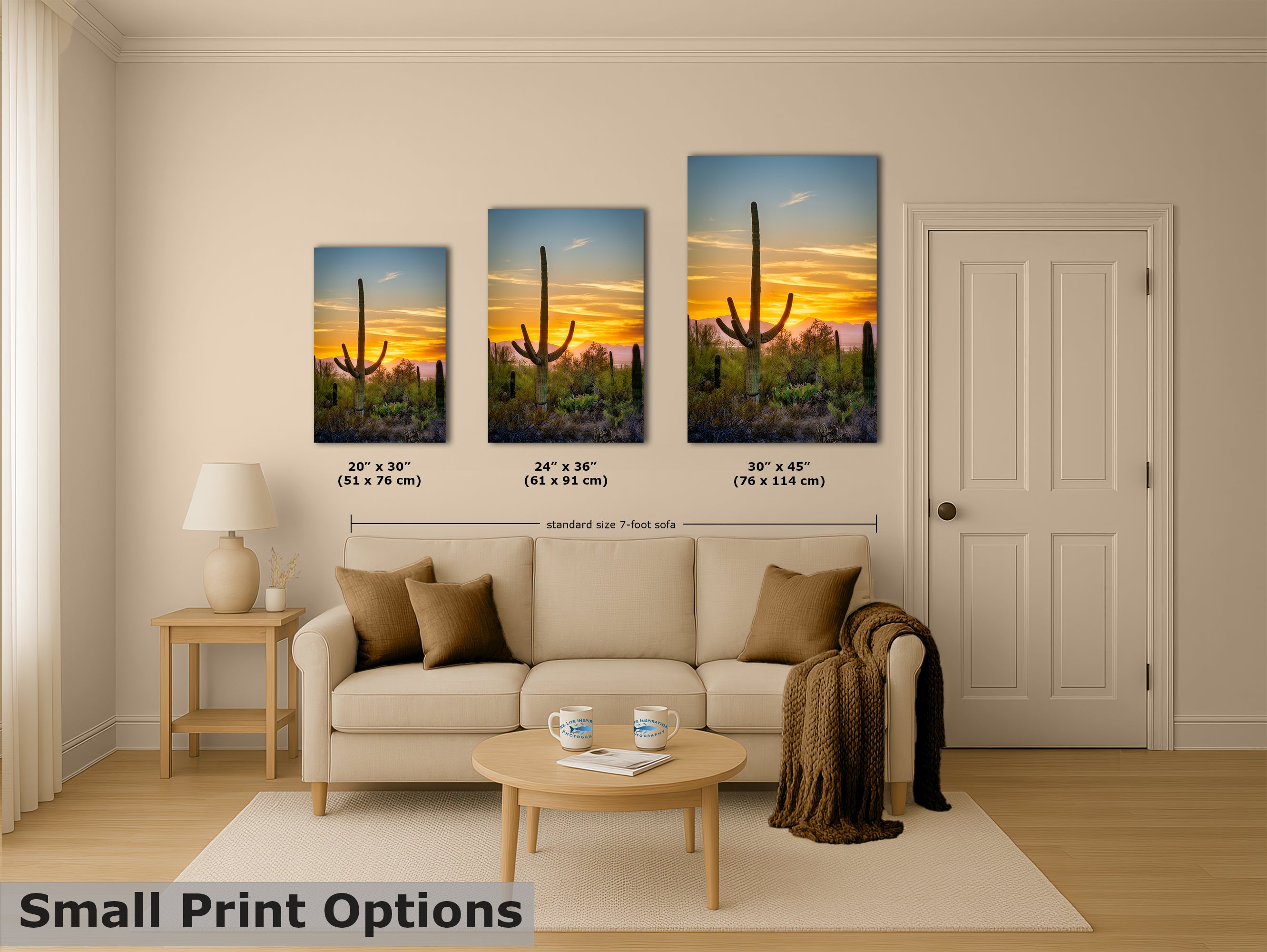Saguaro National Park Arizona Desert Picture Nature Photo, Bohemian Style Relaxation Artwork, Southwestern Sonoran Desert House Decor