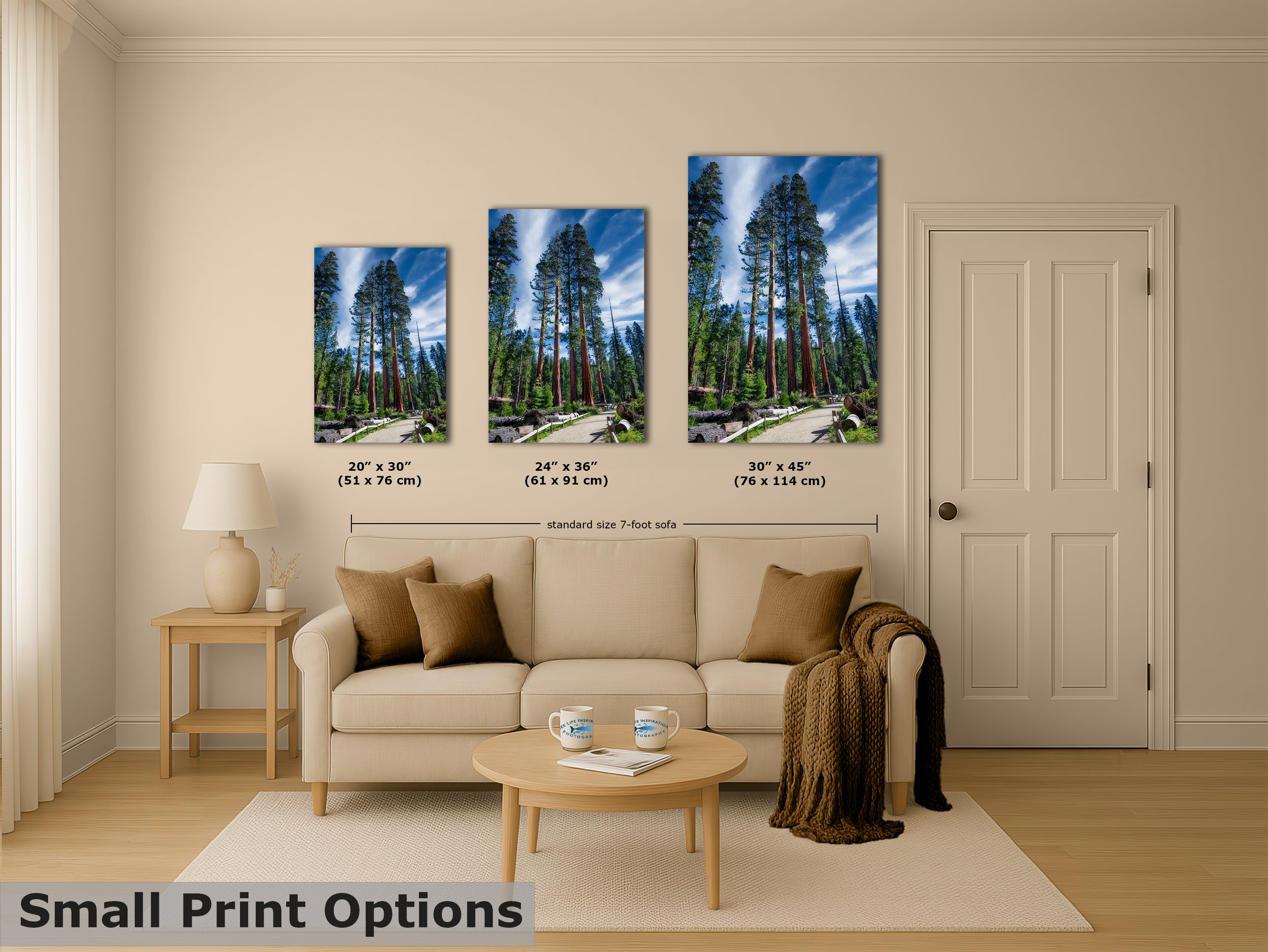 Giant Sequoia Tree Forest Picture Nature Photo, Redwood Trees Forest Bathing Decor, Relaxation Artwork for Home or Office