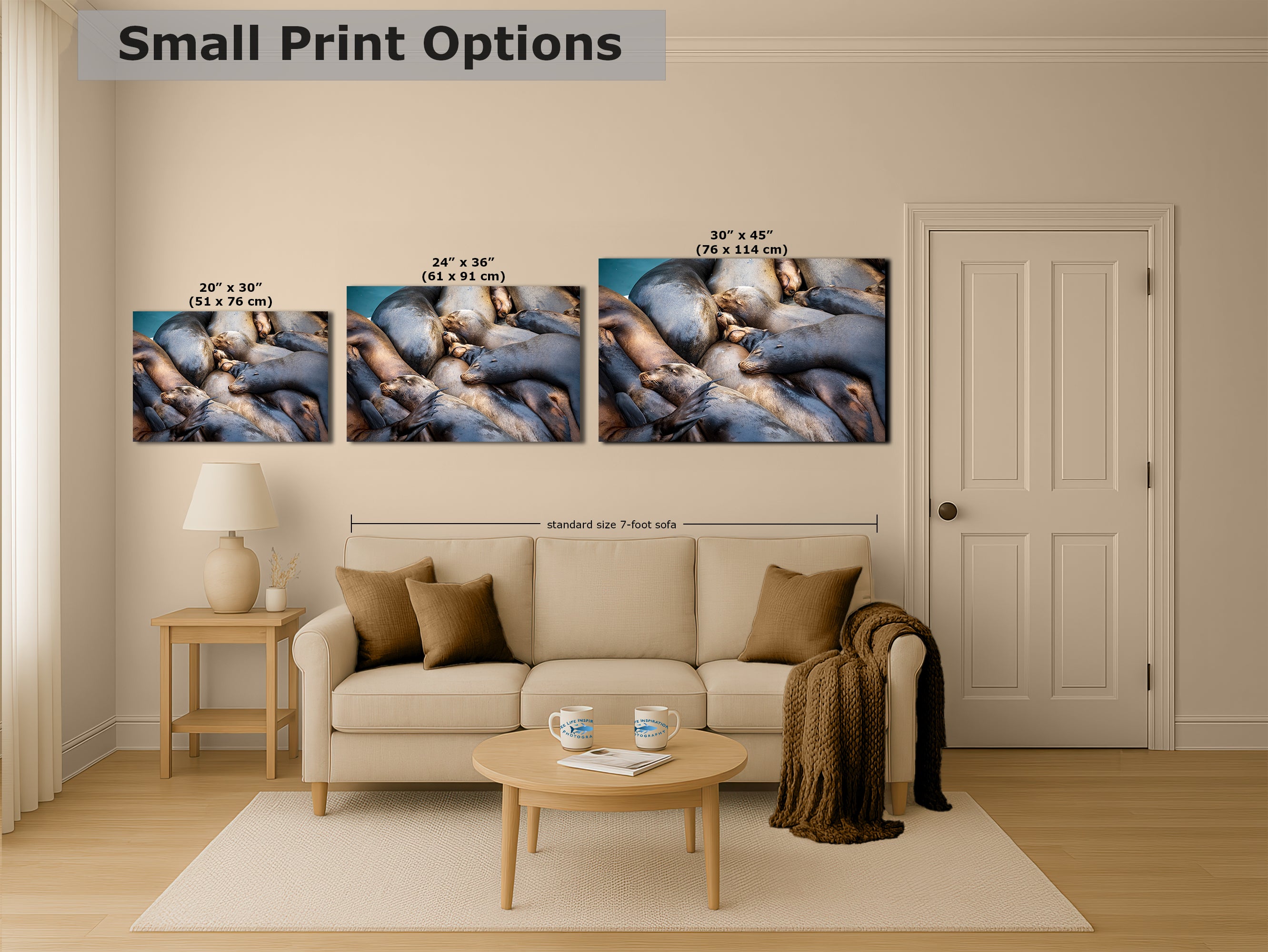 California Sea Lion Marine Mammal Wildlife Photography Wall Art - Ocean Animals Nursery Decor Coastal Home Artwork, Marine Biology Print