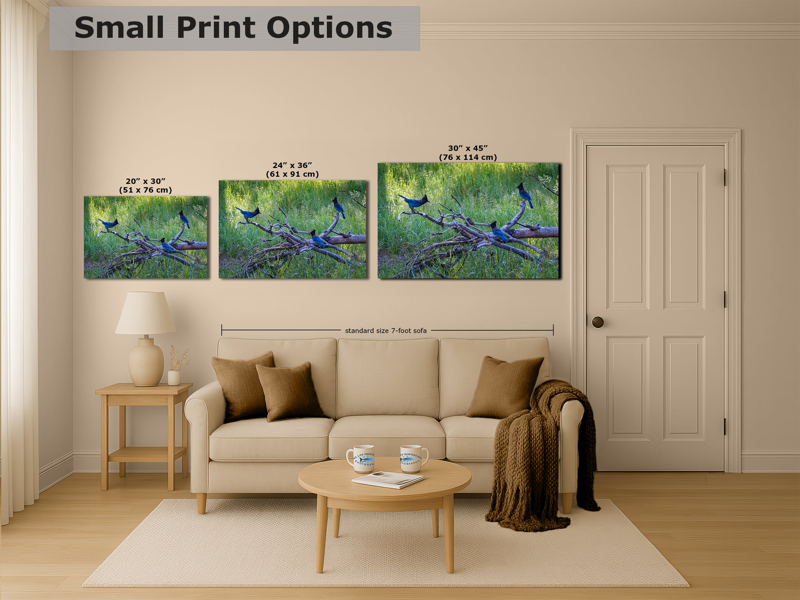 Steller Jay Wildlife Photography Print, Bird Wall Art, Nature Photography, Blue Bird Picture, Relaxing Dorm Room or Office Wall Art