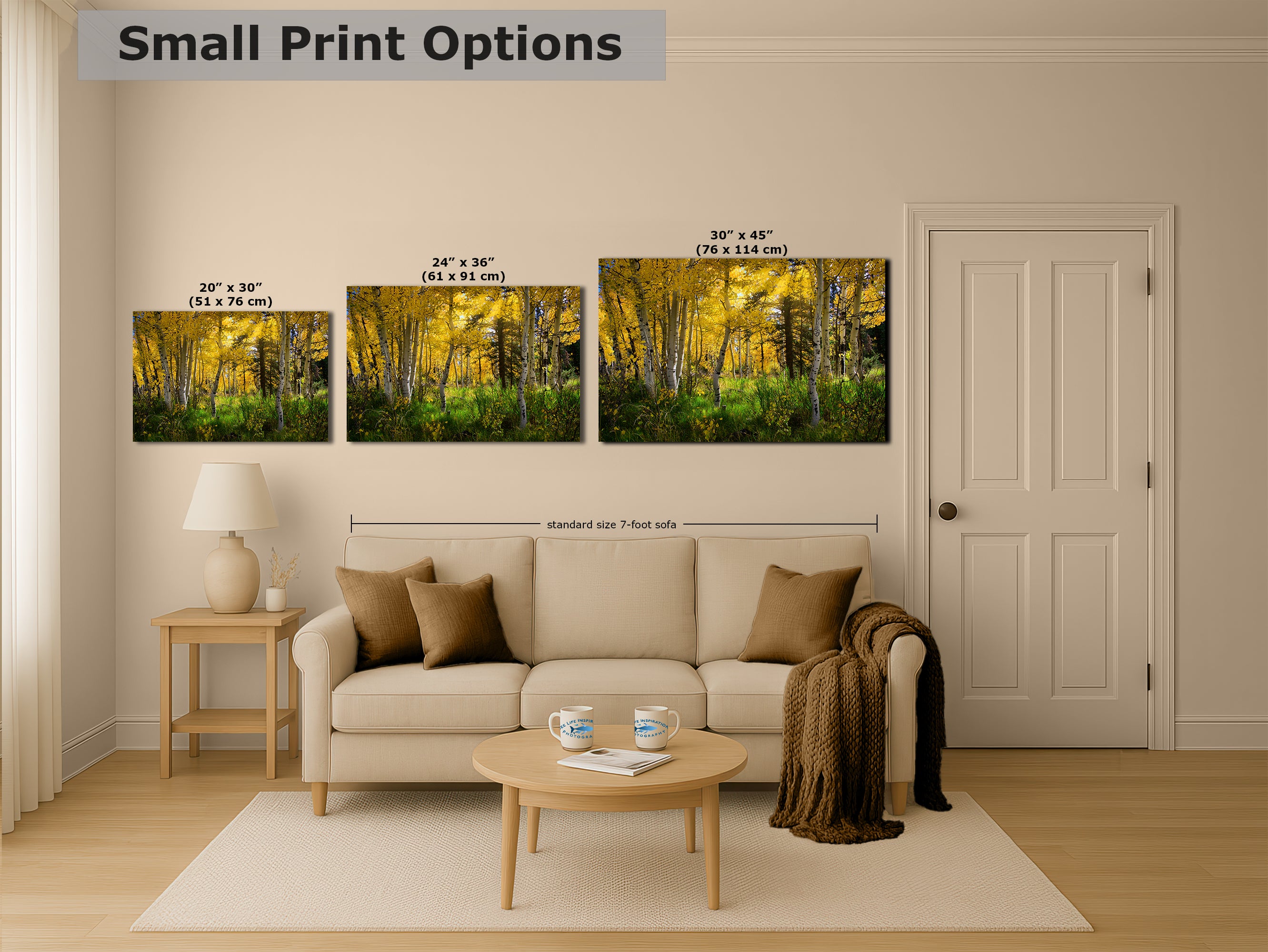 Aspen Tree Forest Picture Nature Photo, Forest Bathing Relaxation Artwork, Fall Colors Autumn for Meditation, Office and House Decor