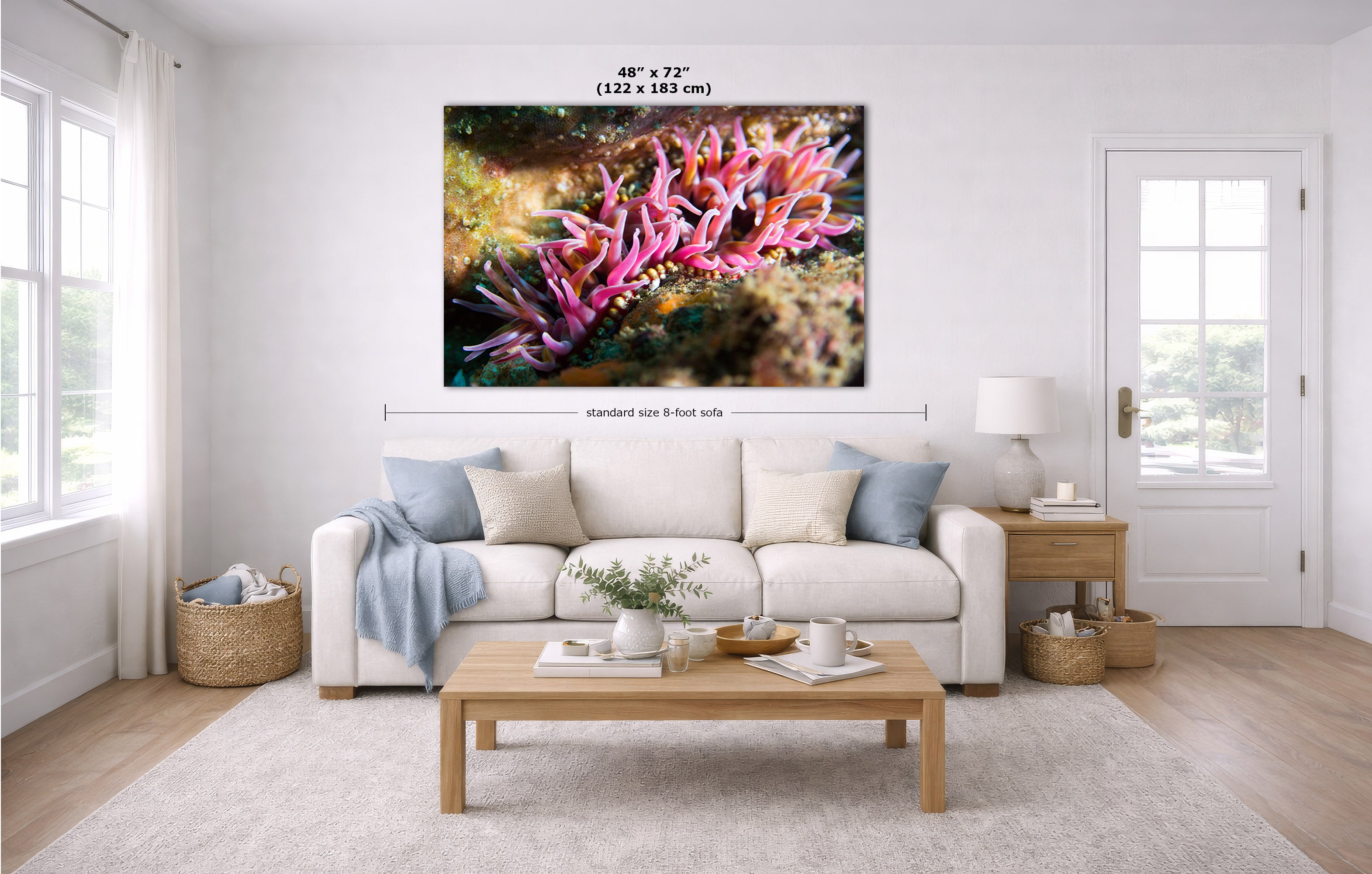 A large rectangular wall art print showing bright pink sea anemones over a rocky, golden background, displayed above a white sofa in a bright, modern living room. Measurement lines and text indicate the print is 48 x 72 inches.