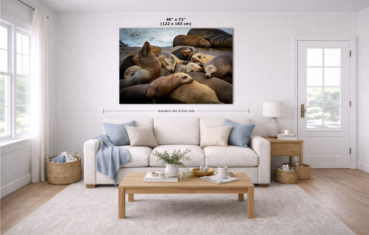 A large wall art print showing a group of sea lions on a beach is displayed above a white sofa in a bright, modern living room. The image includes dimension lines and text indicating the print size as 48 x 72 inches (122 x 183 m).
