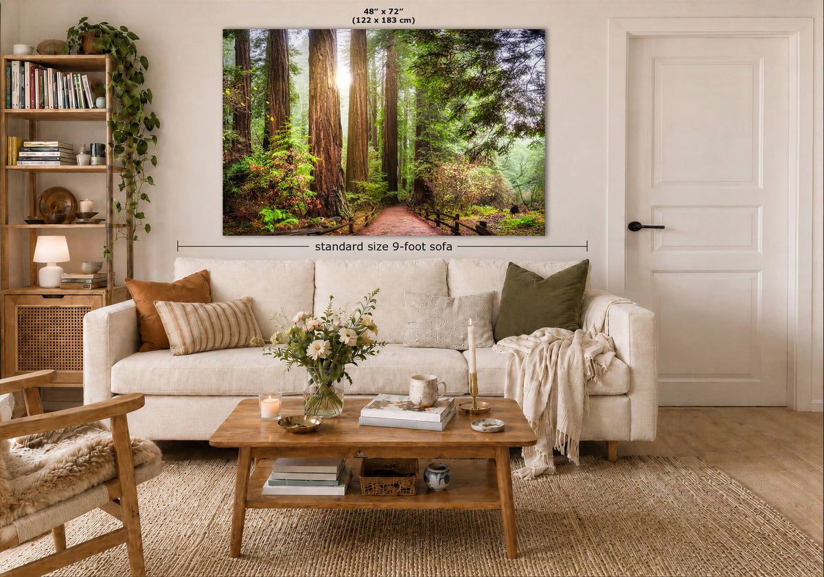 A large framed forest wall art print hangs above a white sofa in a styled living room. The print depicts tall redwood trees, green foliage, and warm sunlight on a forest path.