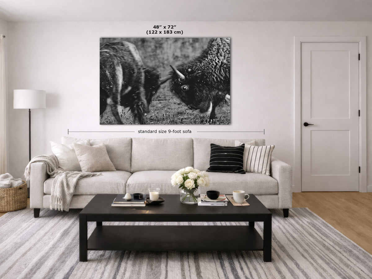 A large black and white wall art print showing two bison, displayed above a light beige sofa in a modern, bright living room. White text overlays indicate the dimensions of the print and the sofa.