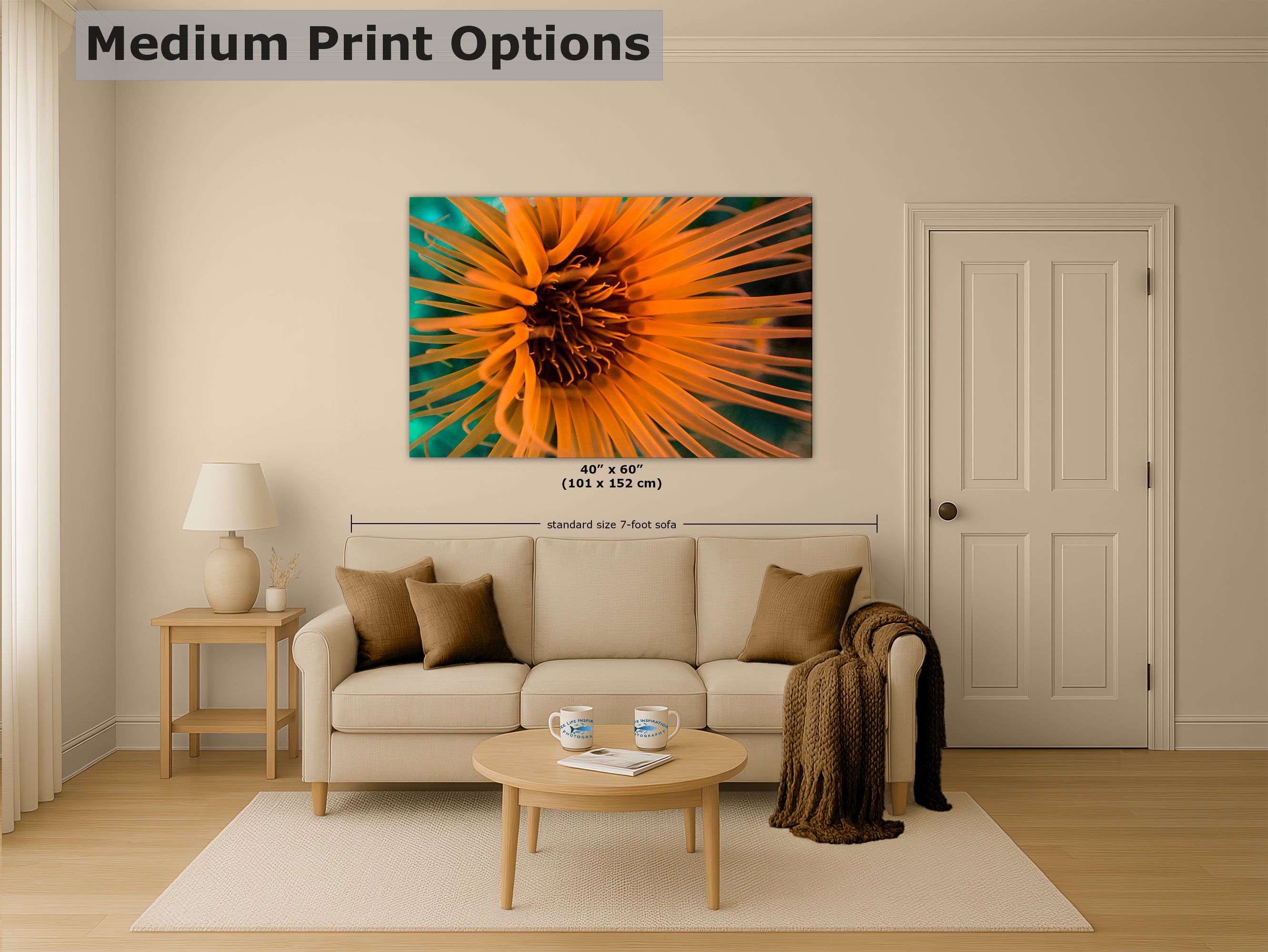 Sea Anemone Picture Ocean Life Underwater Scenery Nature Photo, Marine Biology Wall Art, Vibrant Coral Reef, Gift for Ocean Lover