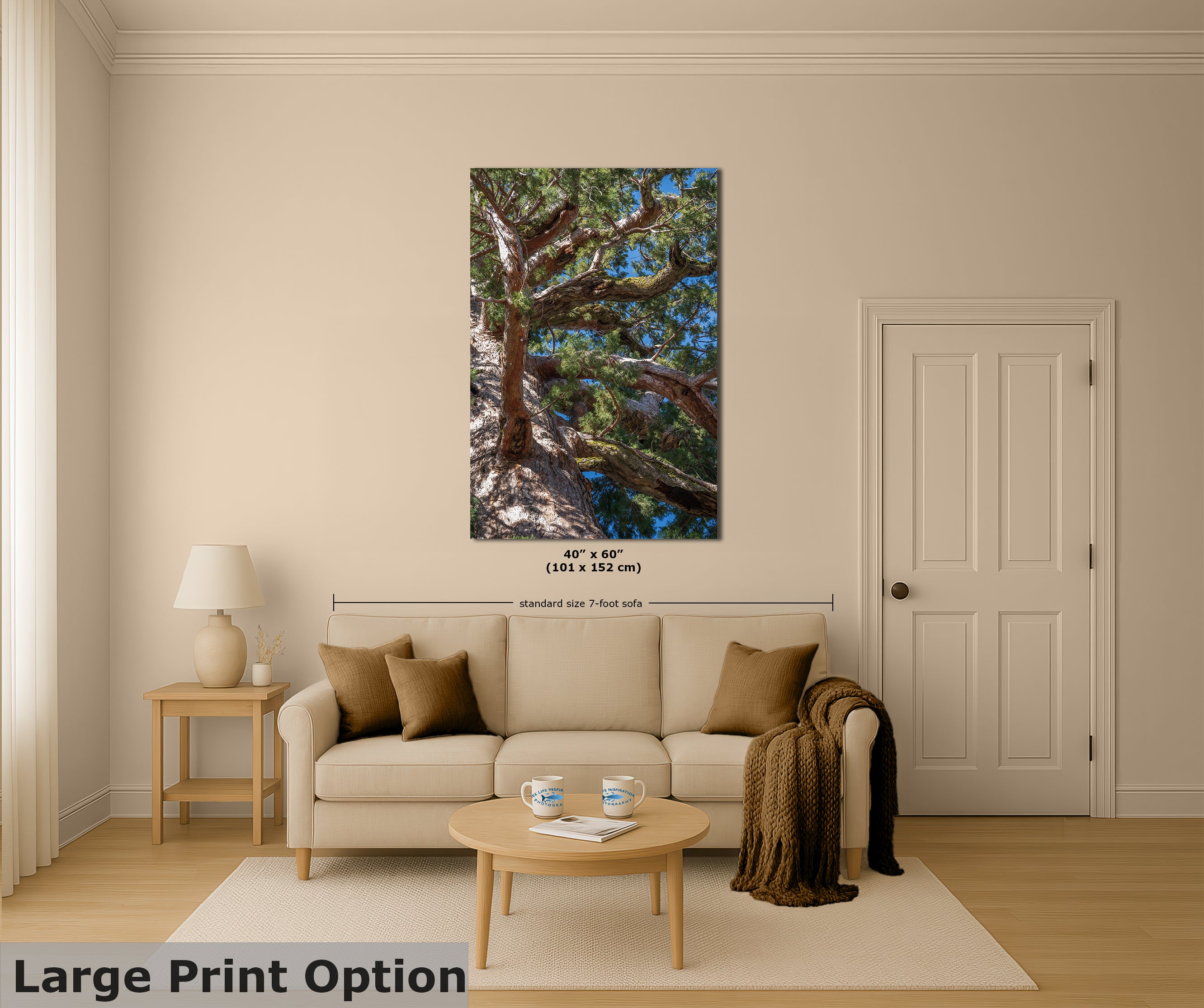 Giant Sequoia Tree Forest Picture Nature Photo, Yosemite Mariposa Grove Redwood Trees, Forest Bathing Relaxation Artwork for Nature Lovers