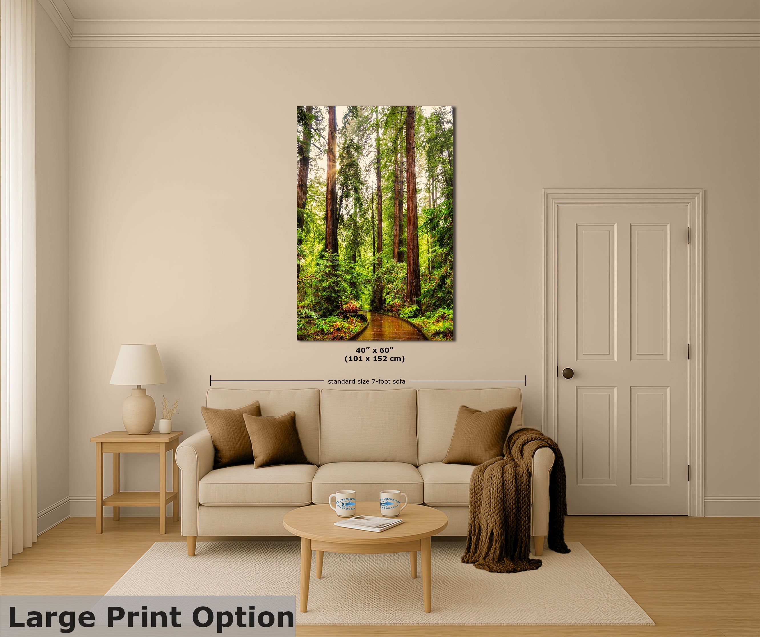 Redwood Trees Forest Picture Nature Photo, Forest Bathing House Decor